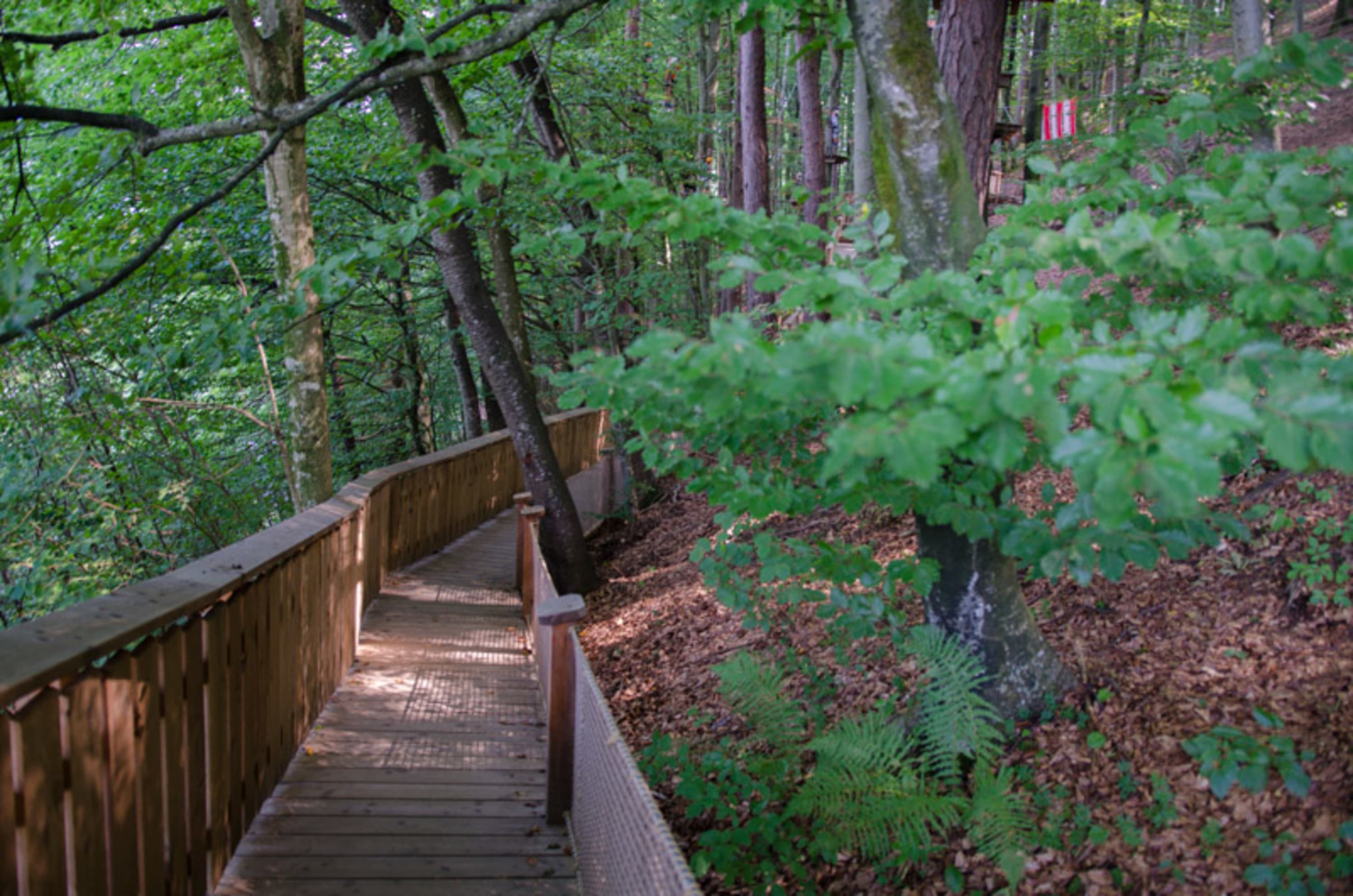 Steg am Beginn des Familywald in Ossiach am See