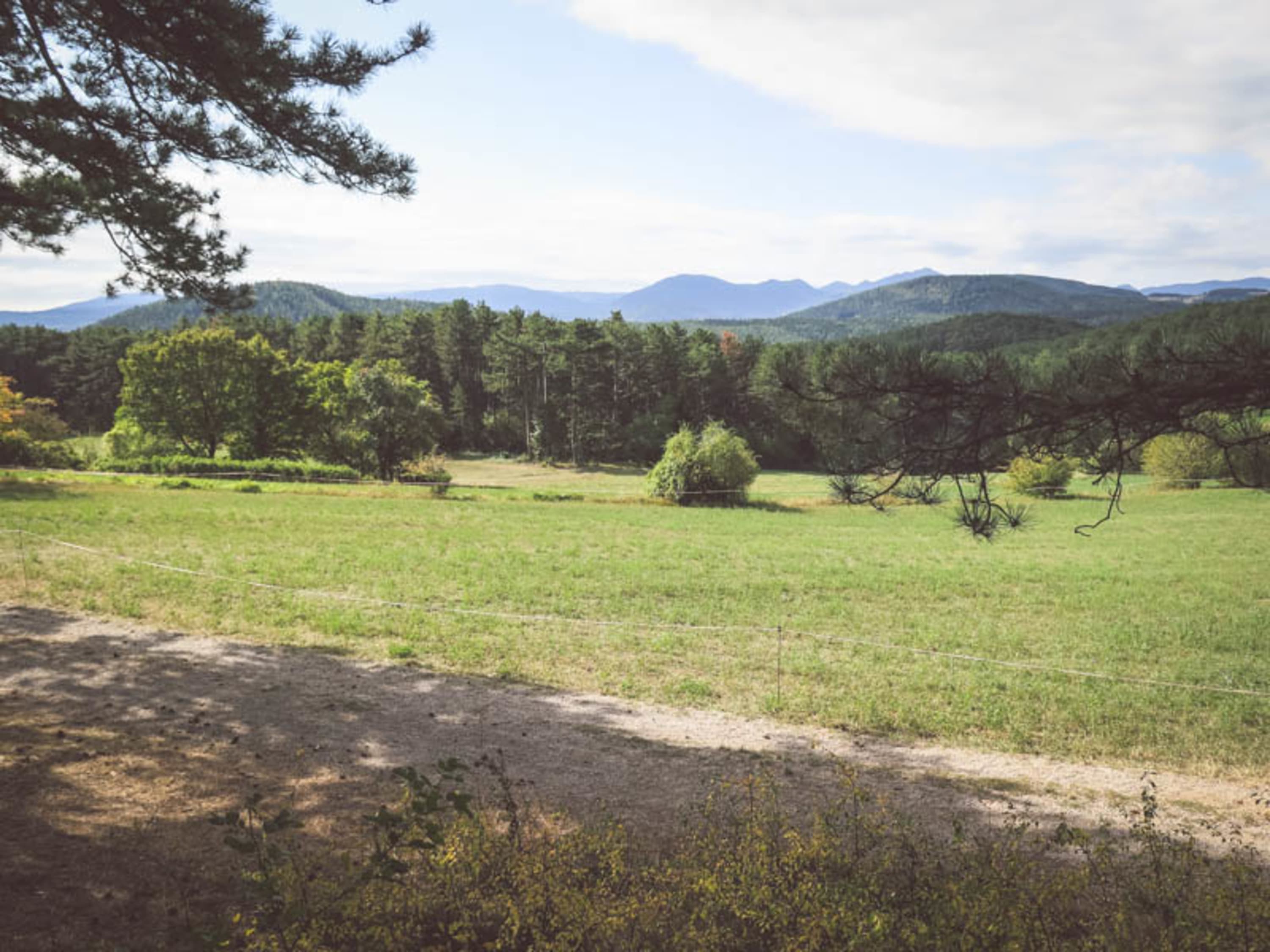 Blick von den Sesselbäumen auf der Schlosser Reiterer Runde bei Ternitz