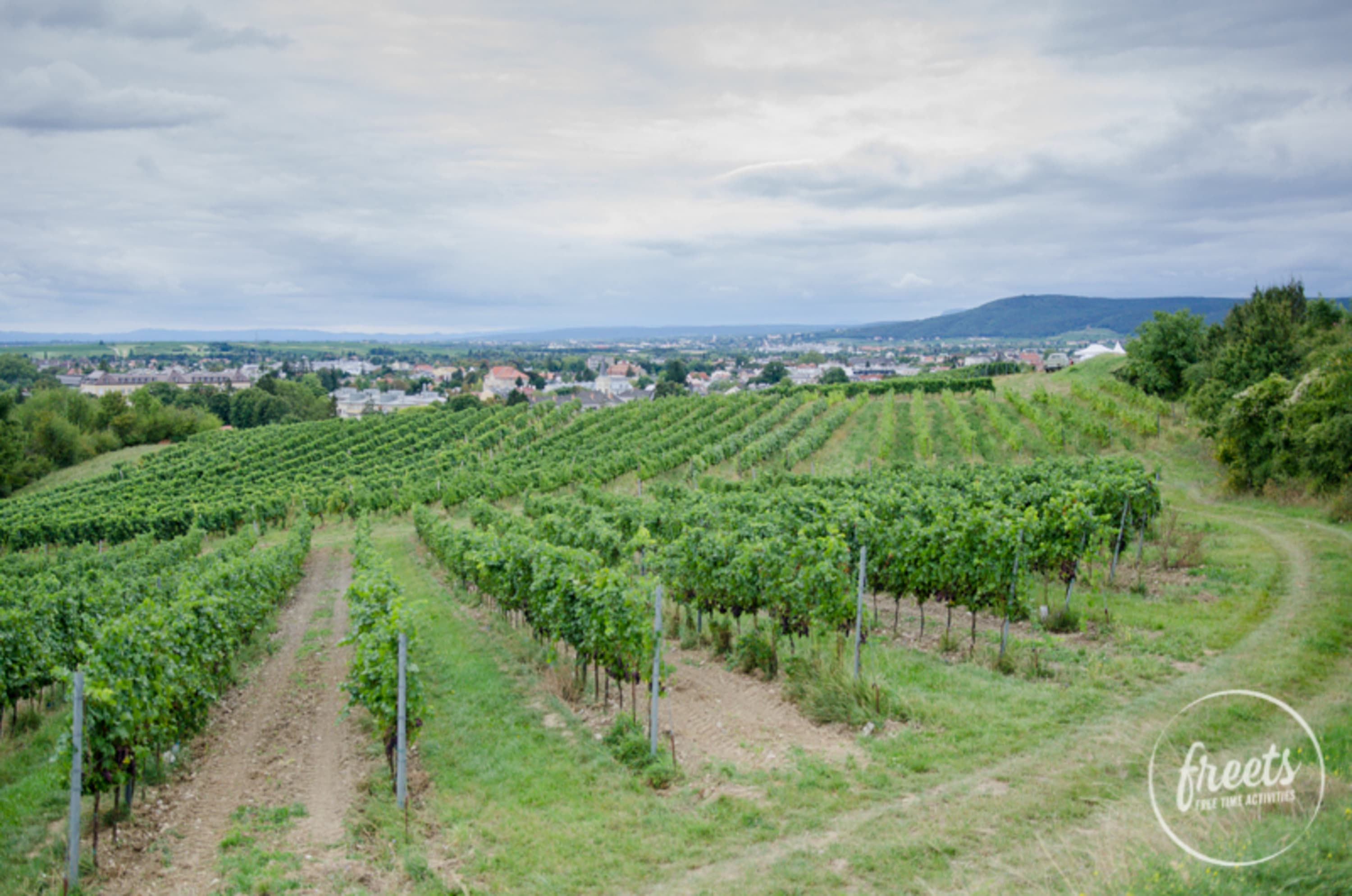 Genussmeile, Aussicht über die Gegend