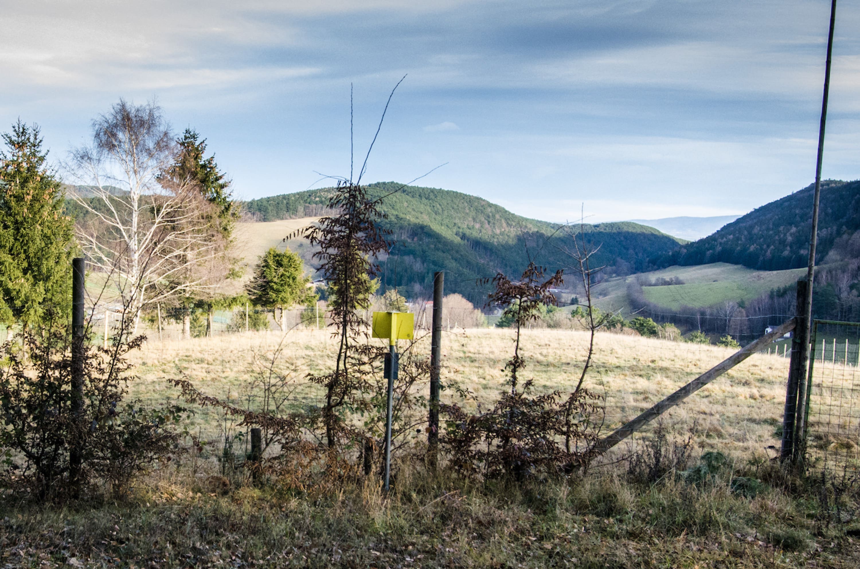 Hubertusrunde Schrattenbach