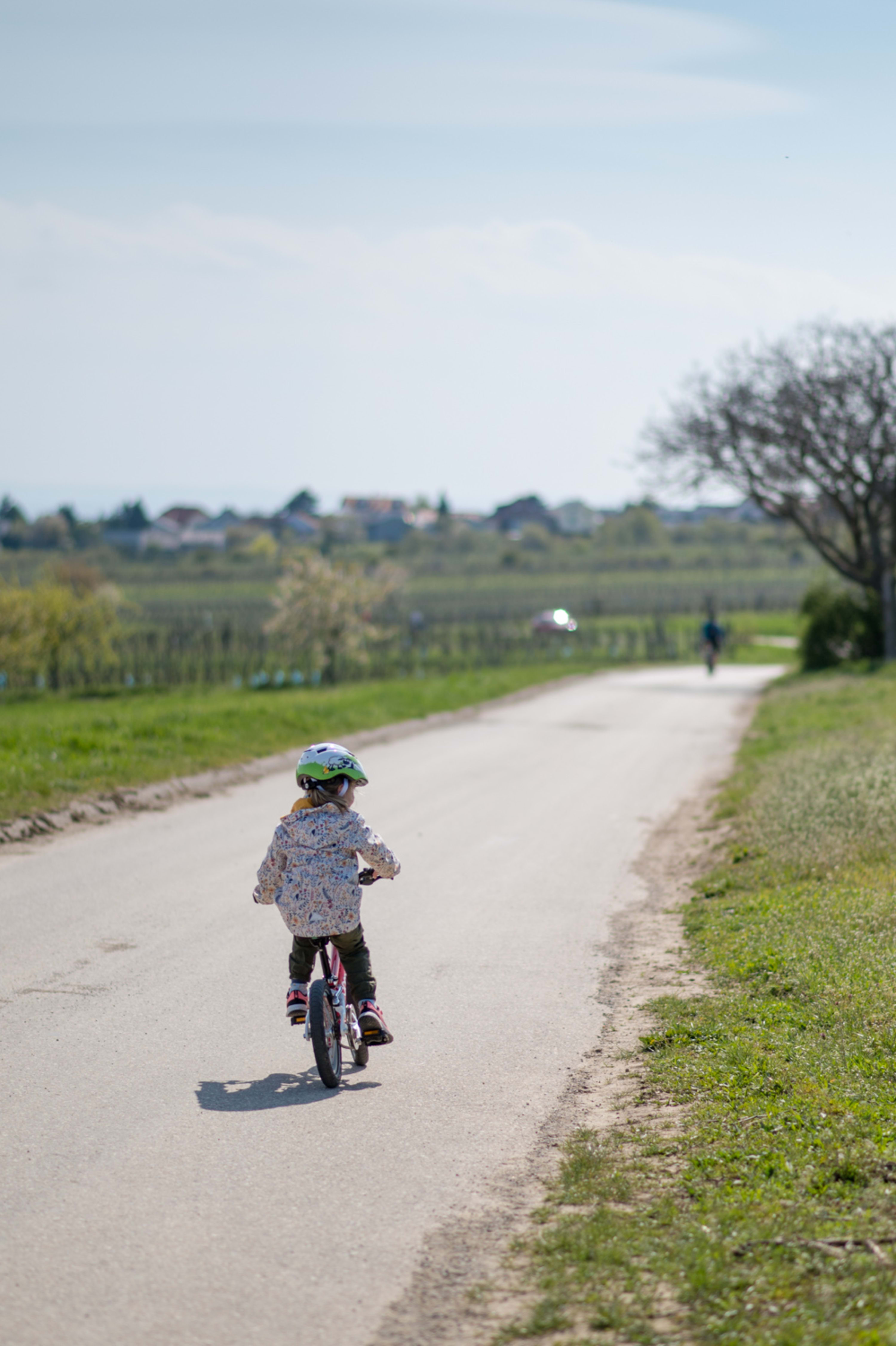 Kirschblütenradweg mit Kindern