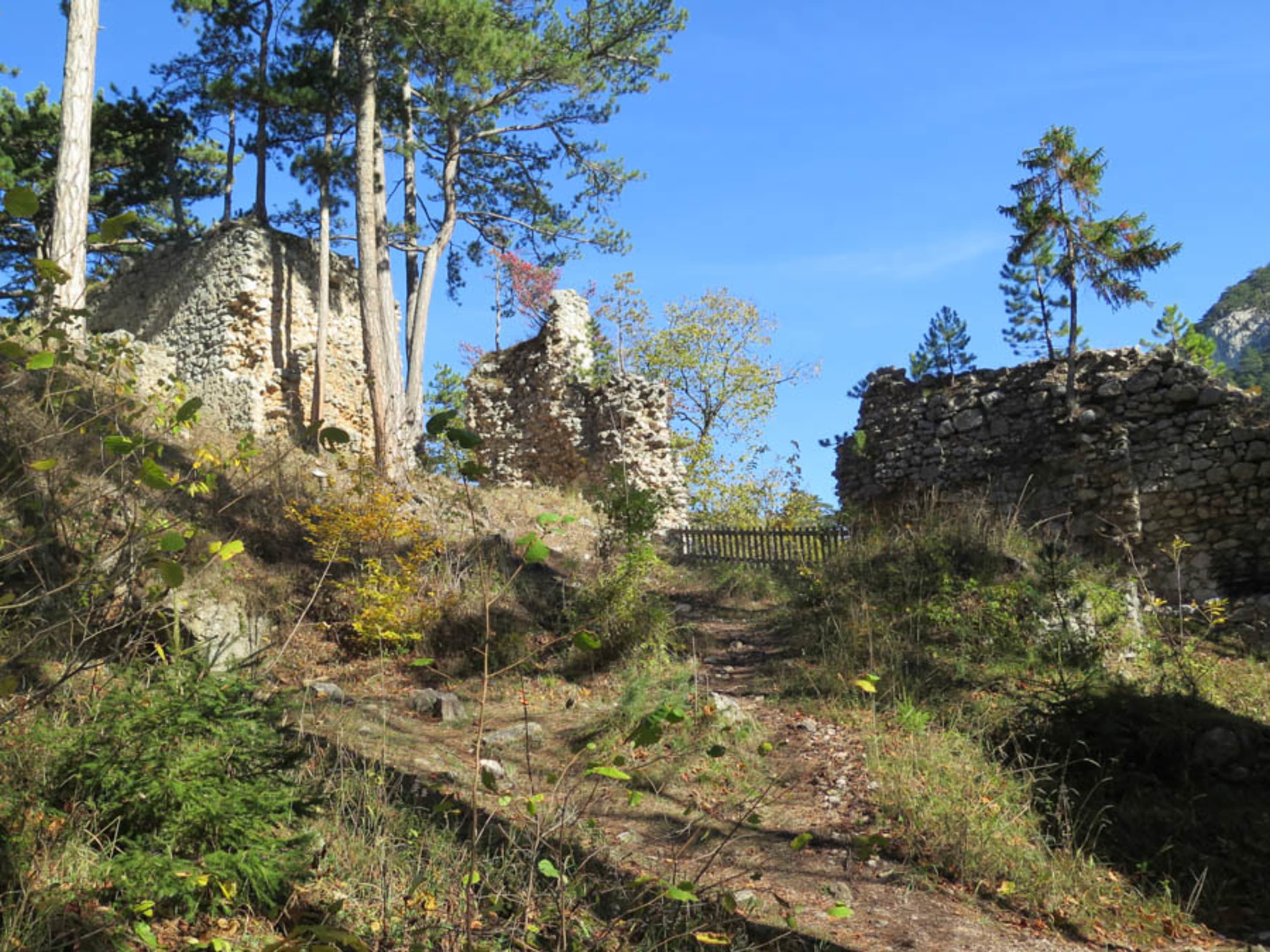 Mauerreste Ruine Schrattenbach