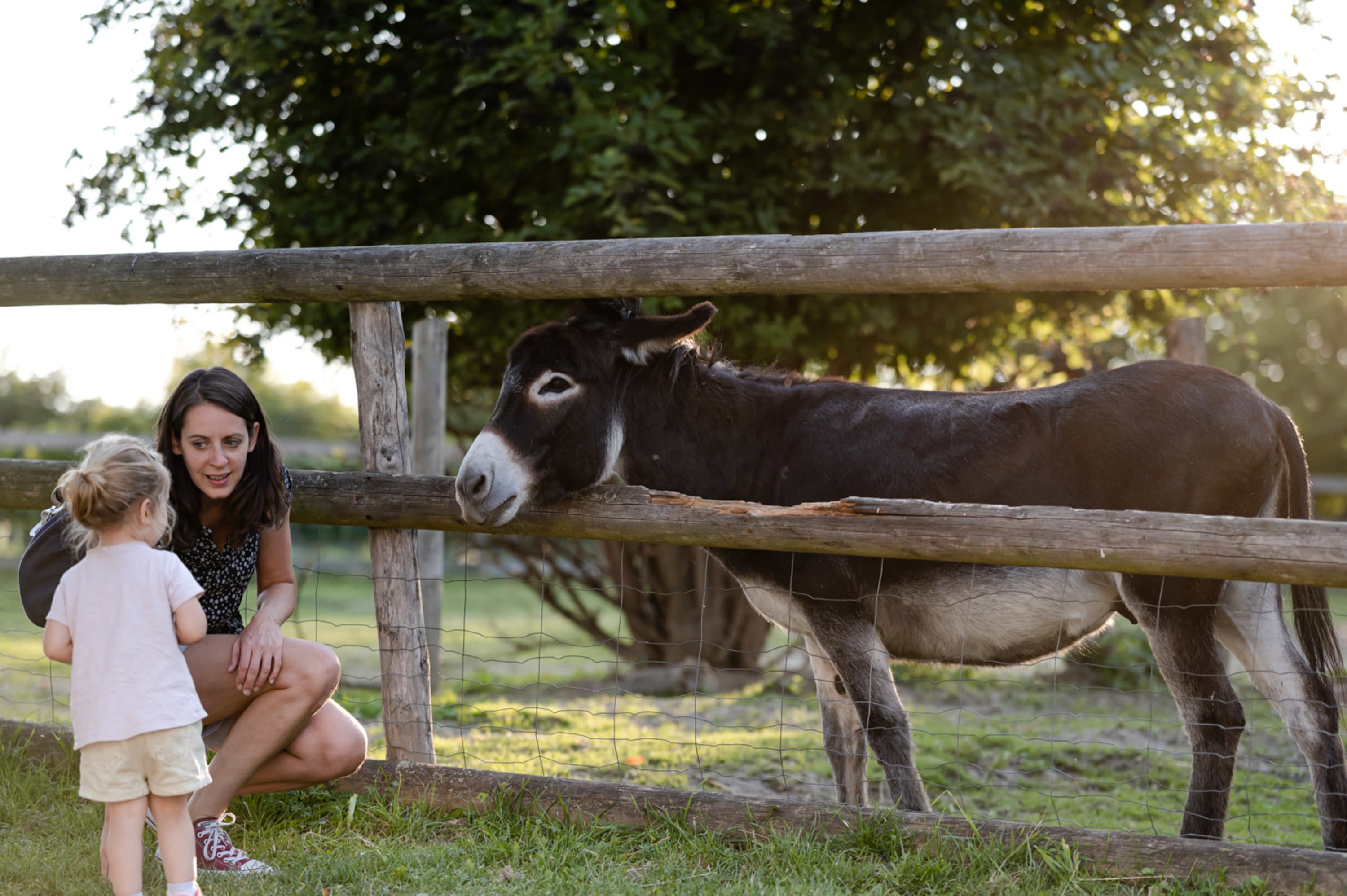 Kind und Frau am Eselgehehege, lebender Bauernhof im Museumsdorf Niedersulz