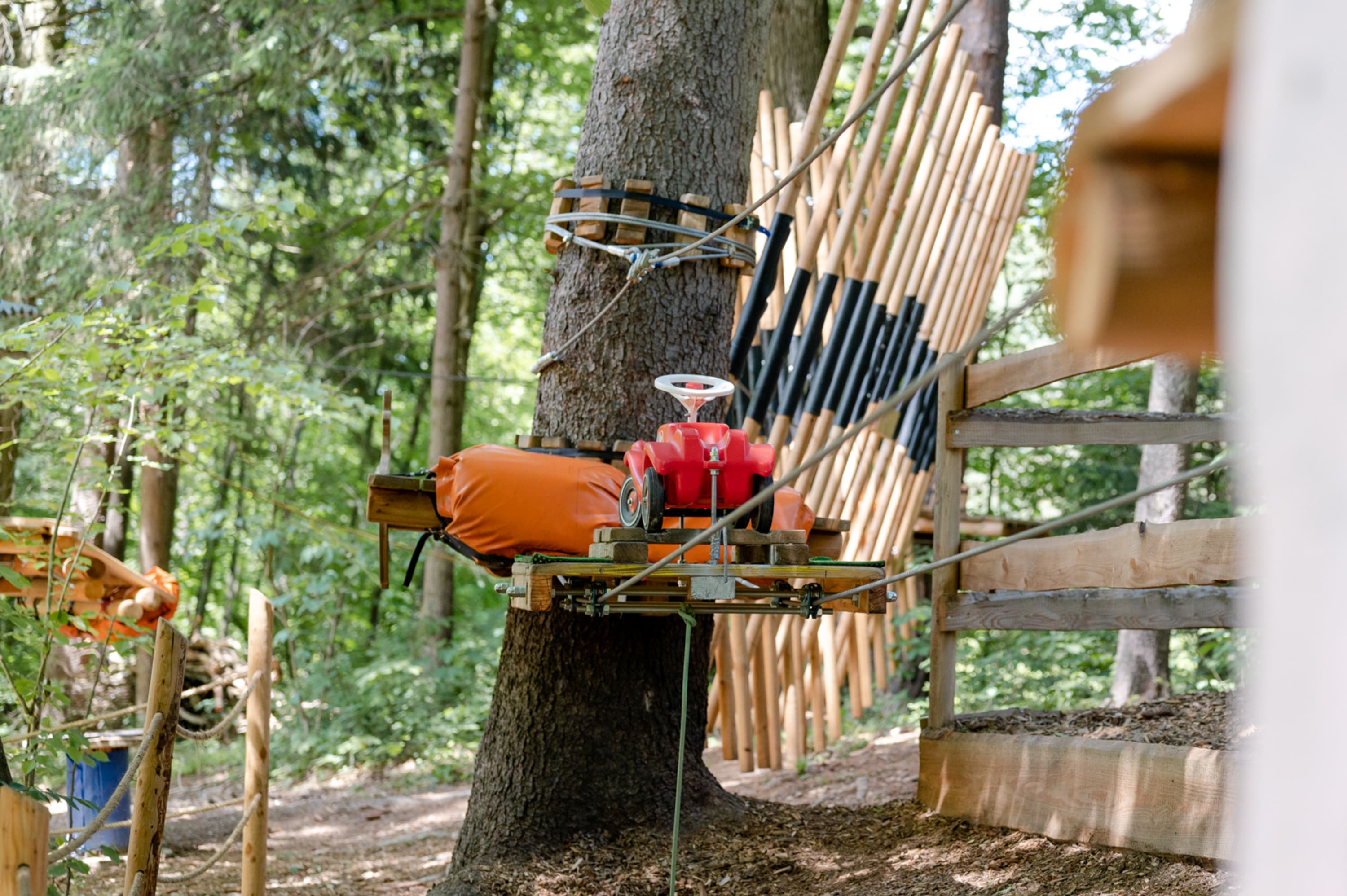 Natur mach Sinn Kletterpark Wartmannstetten
