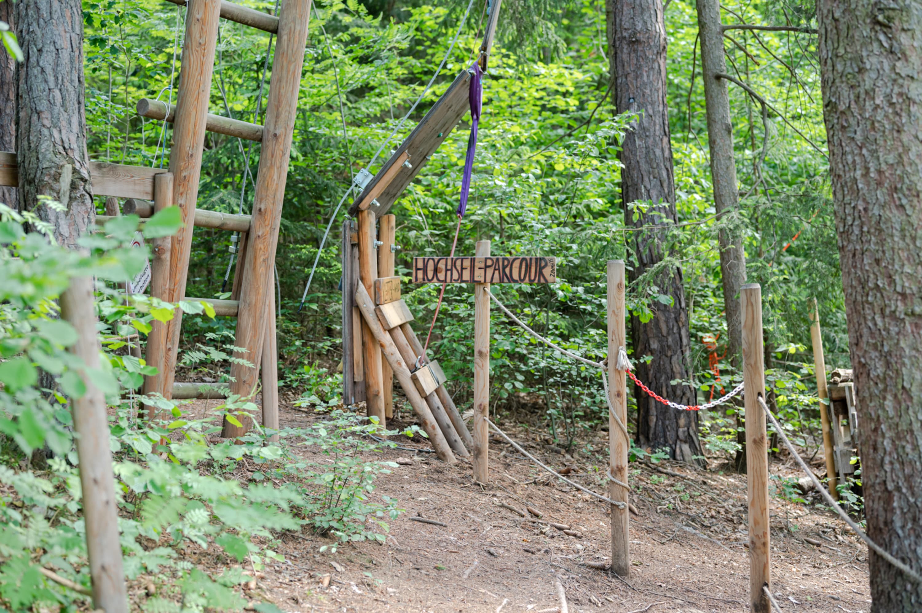 Diverse Klettermöglichkeiten im kühlen Wald warten darauf entdeckt zu werden.