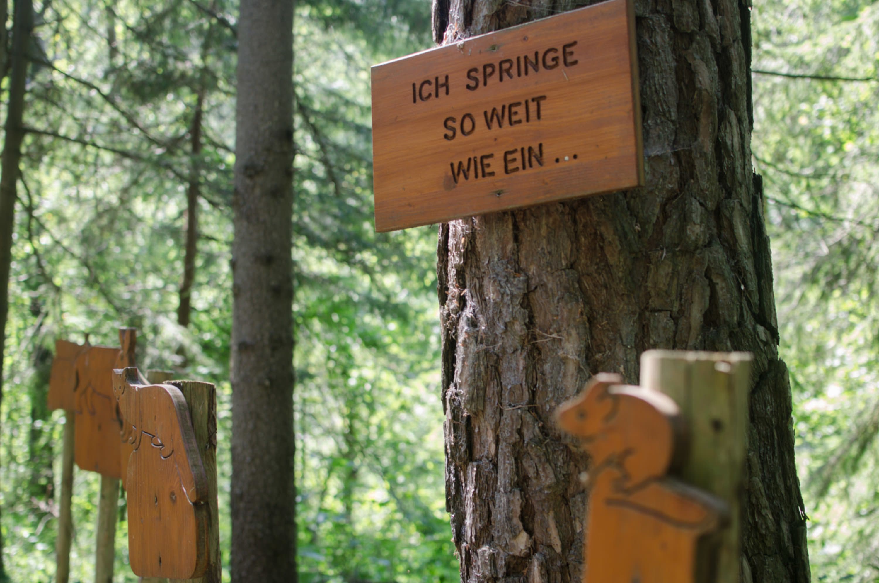 Wetthüpfen am Naturlehrpfad Kaiserbrunn