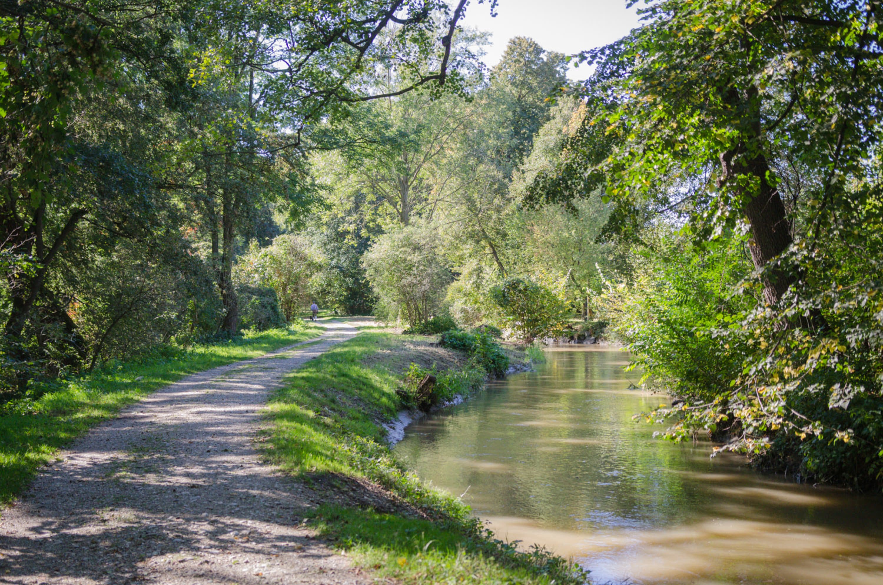 Weg am Mühlbach bei Katzelsdorf durch die Leitha Au