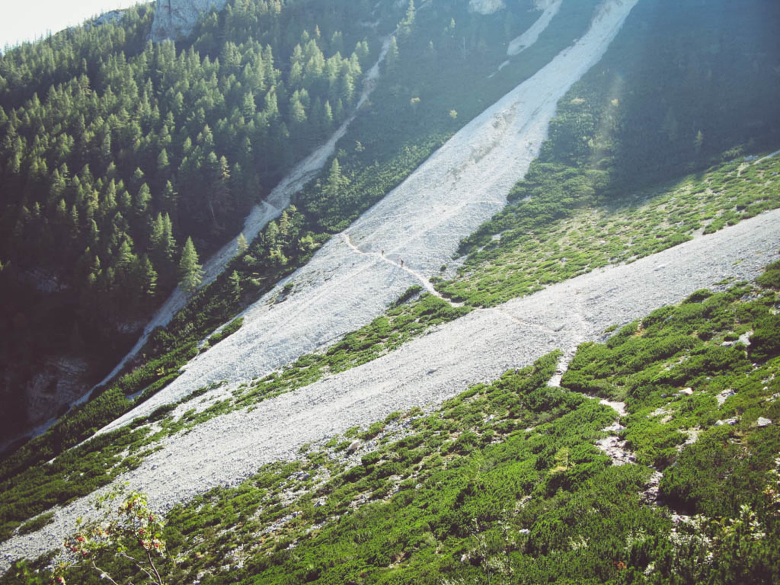 Weg durch die Breite Ries am nördlichen Grafensteig, Schneeberg