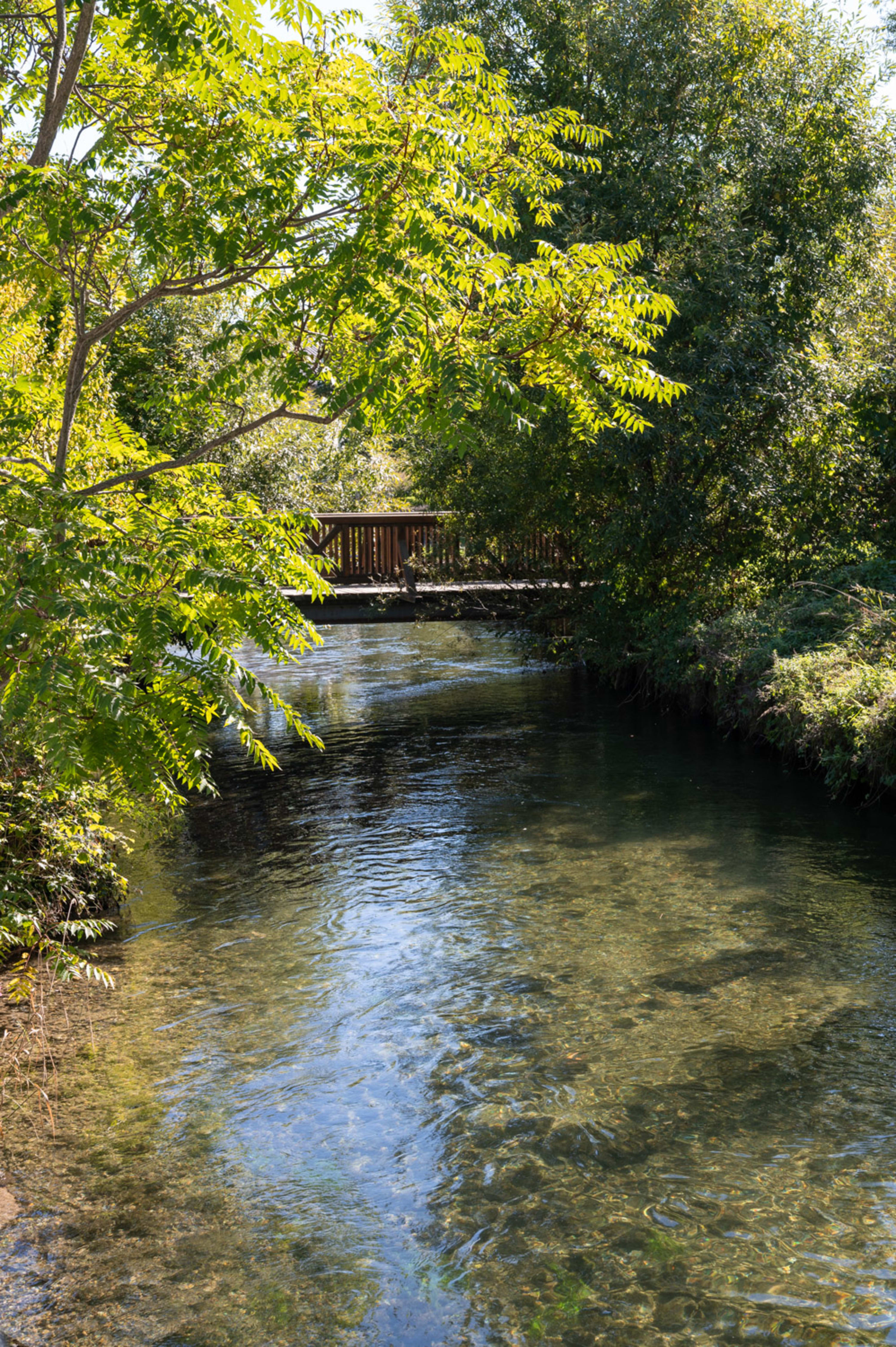 Schwarza am Schwarzatalradweg
