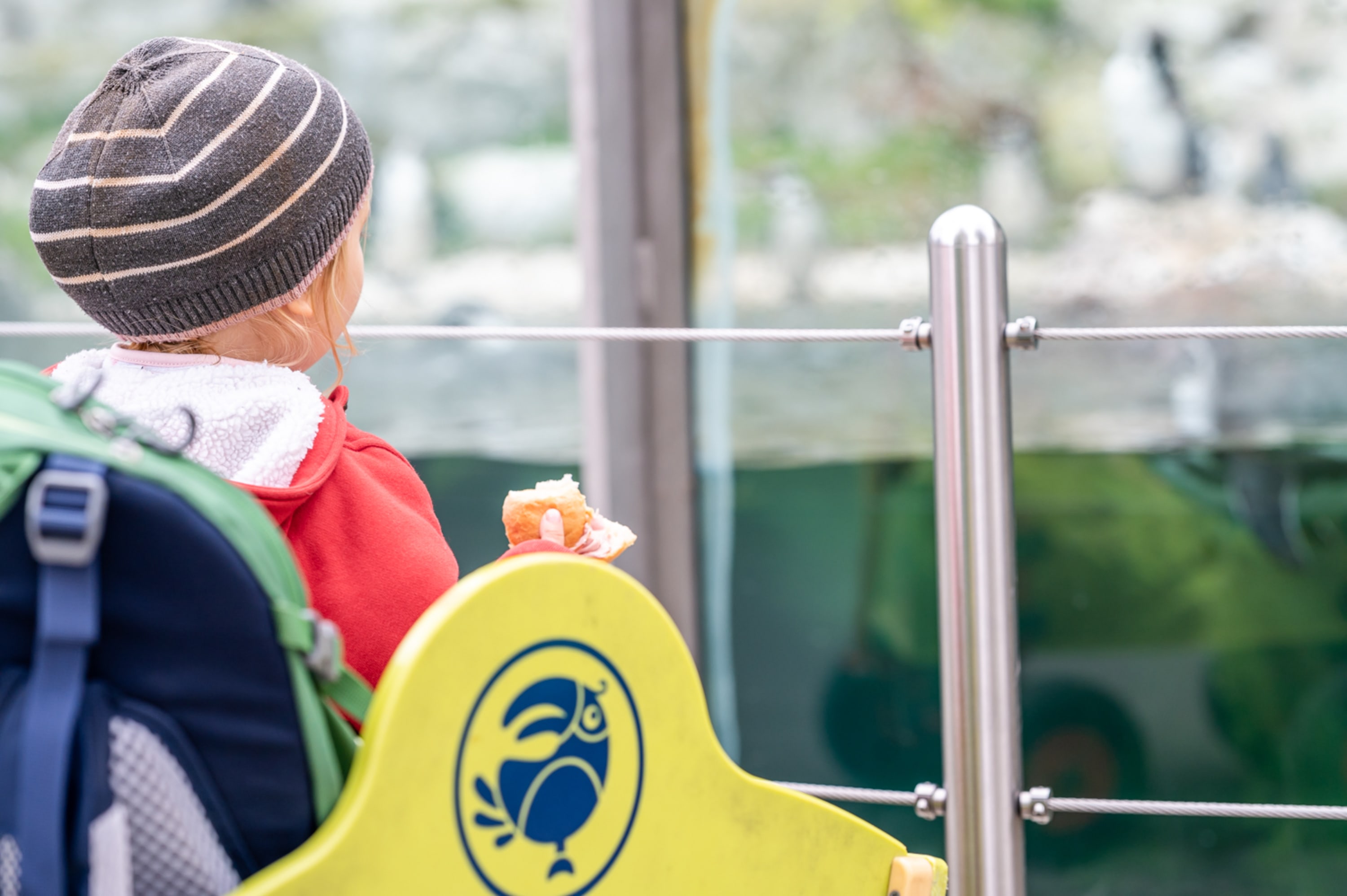 Mädchen im Zoo Schönbrunn mit Leiterwagerl