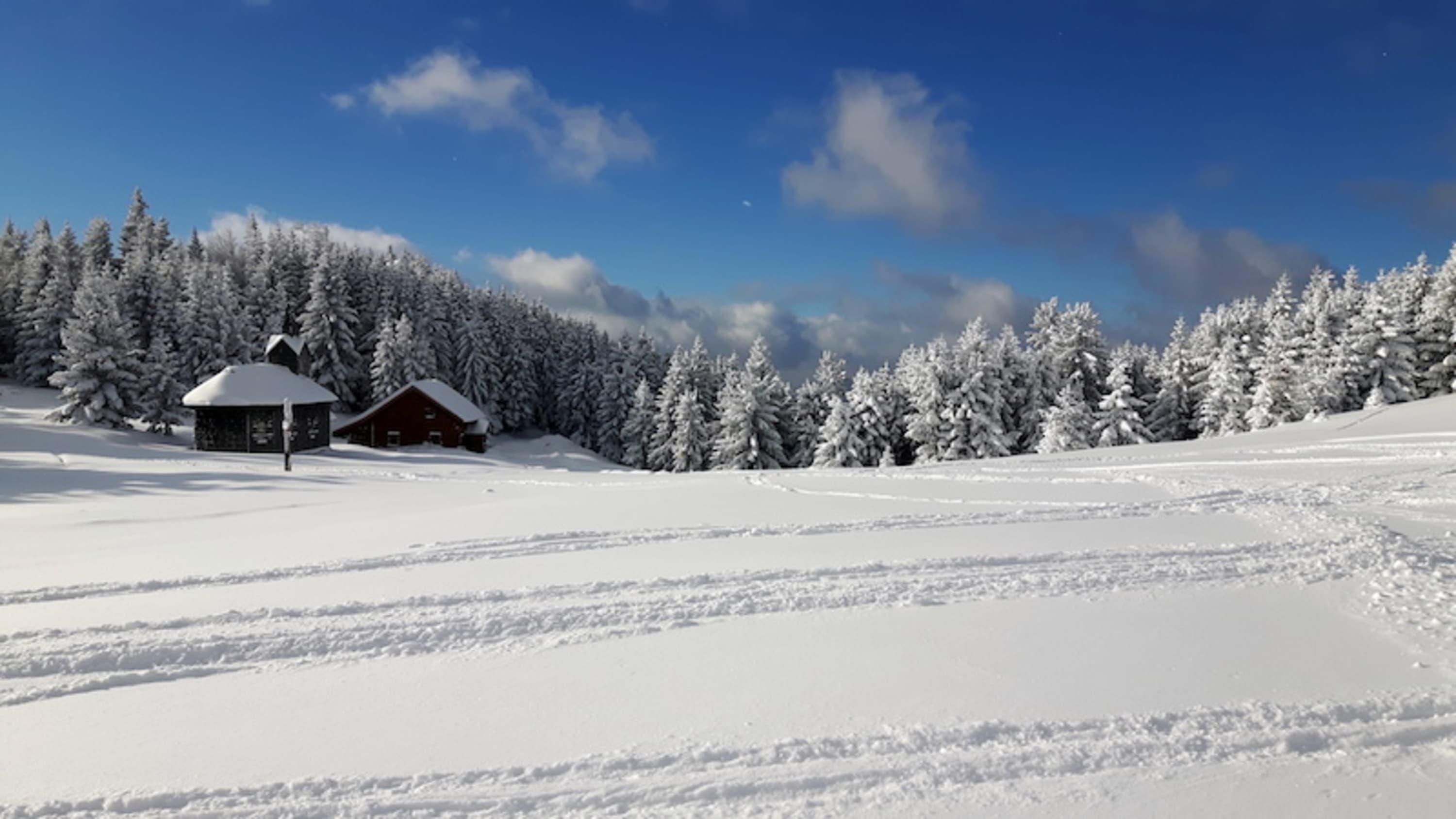 Unterberg im Winter