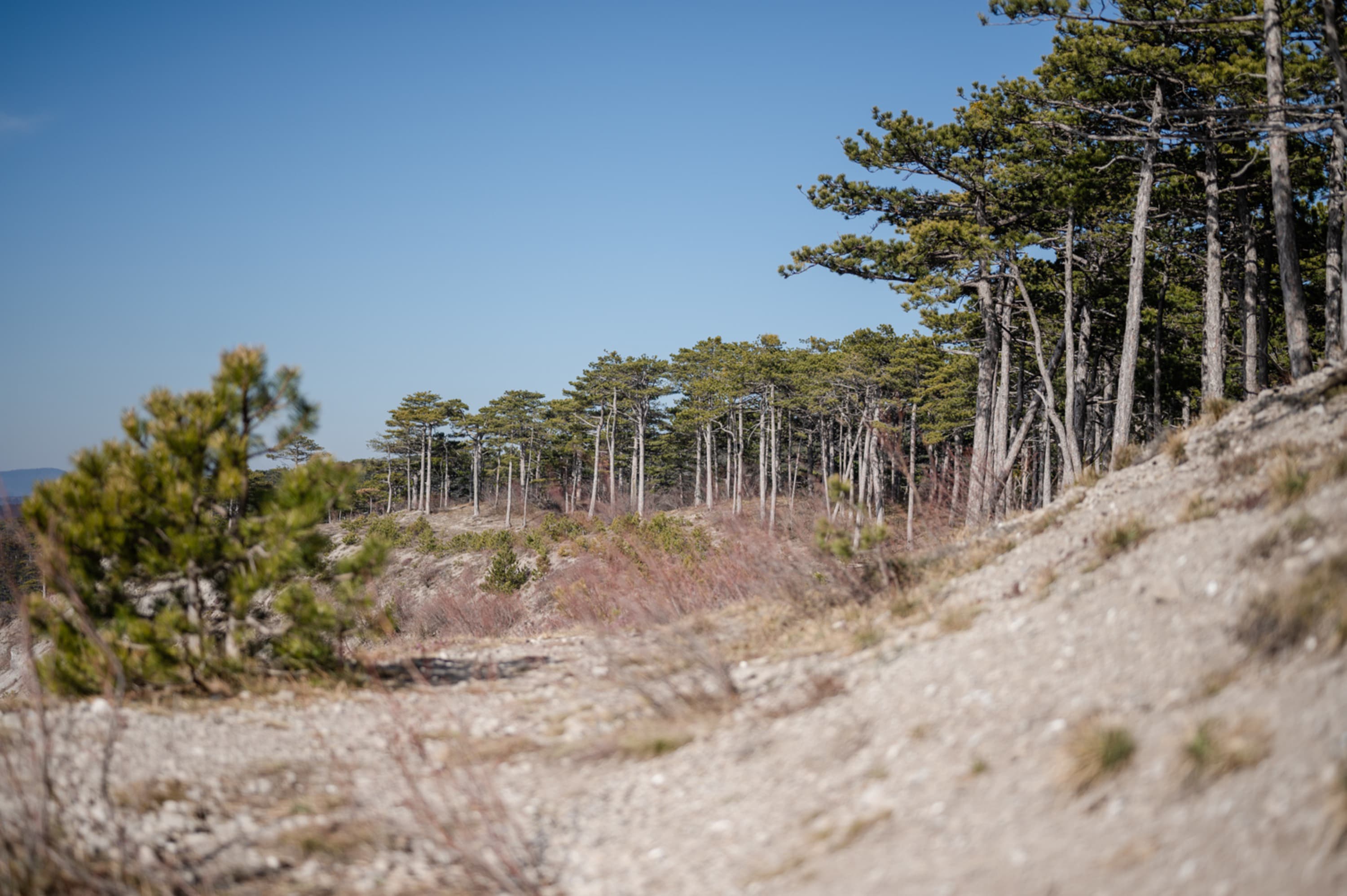Wanderung zur Vöslauer Hütte