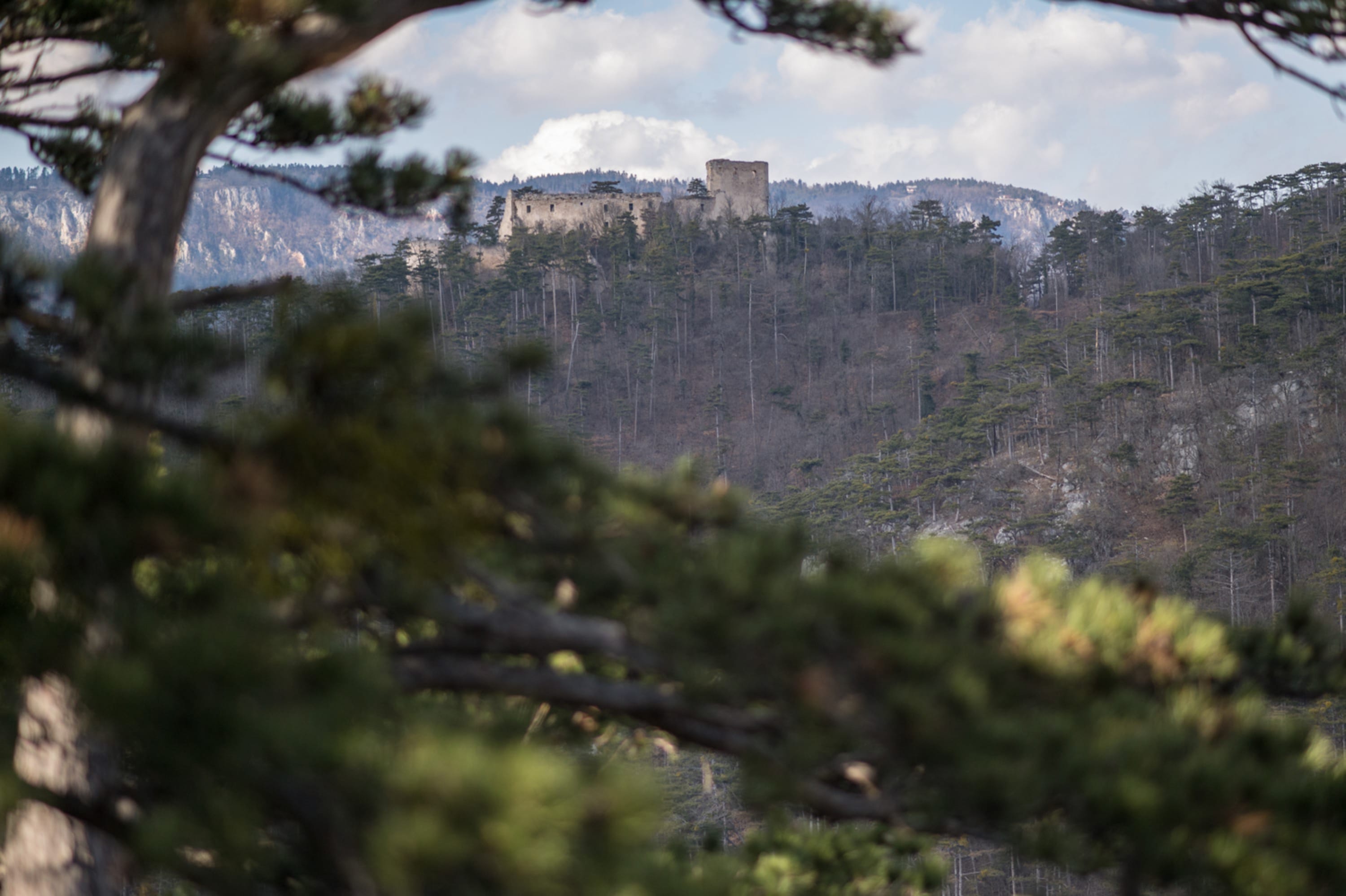Winzendorfer Rundwanderweg C, Blick auf die Ruine Emmerberg