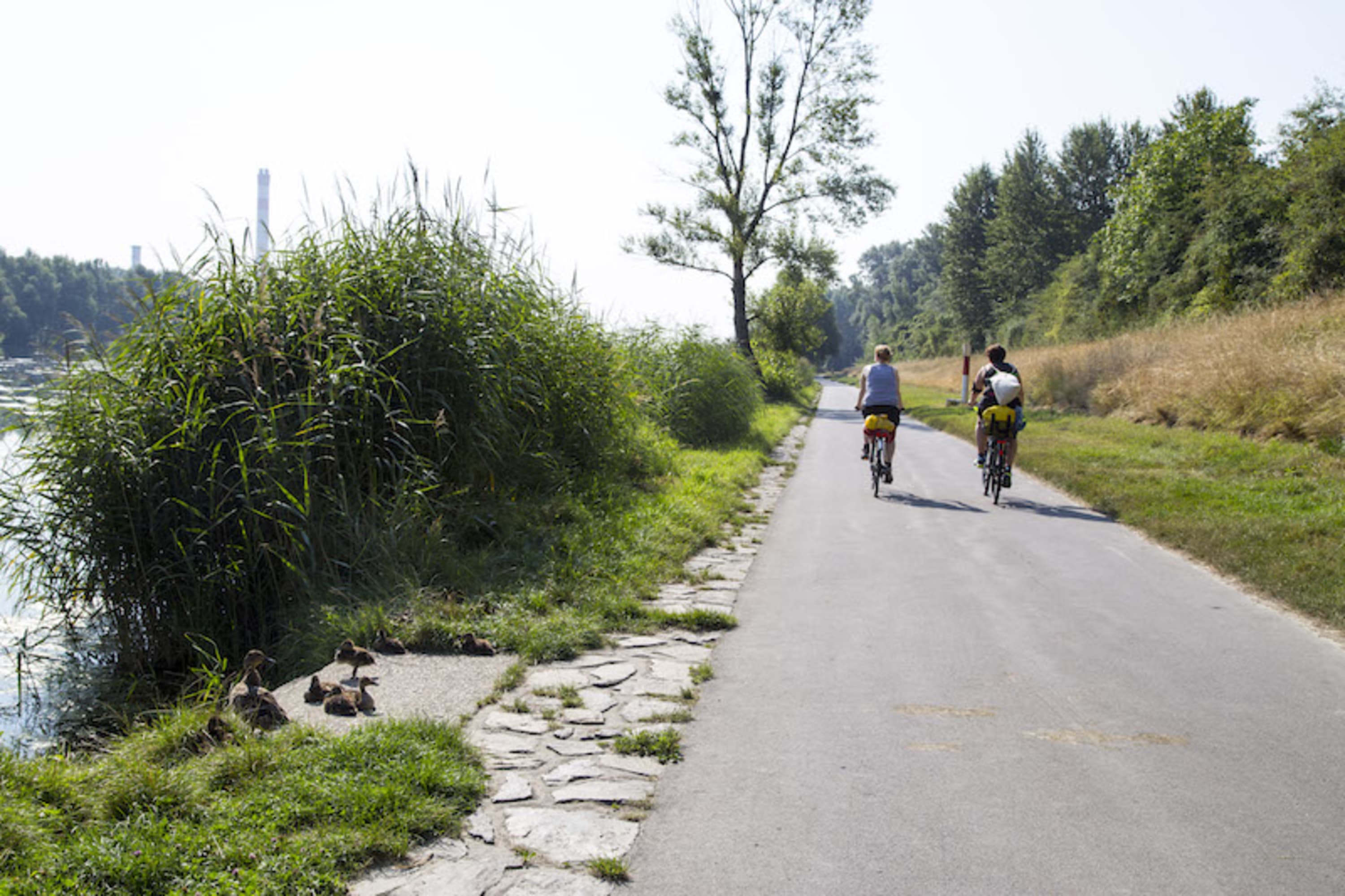 Radfahrer auf der Donauinsel, Wien mit dem Rad entdecken