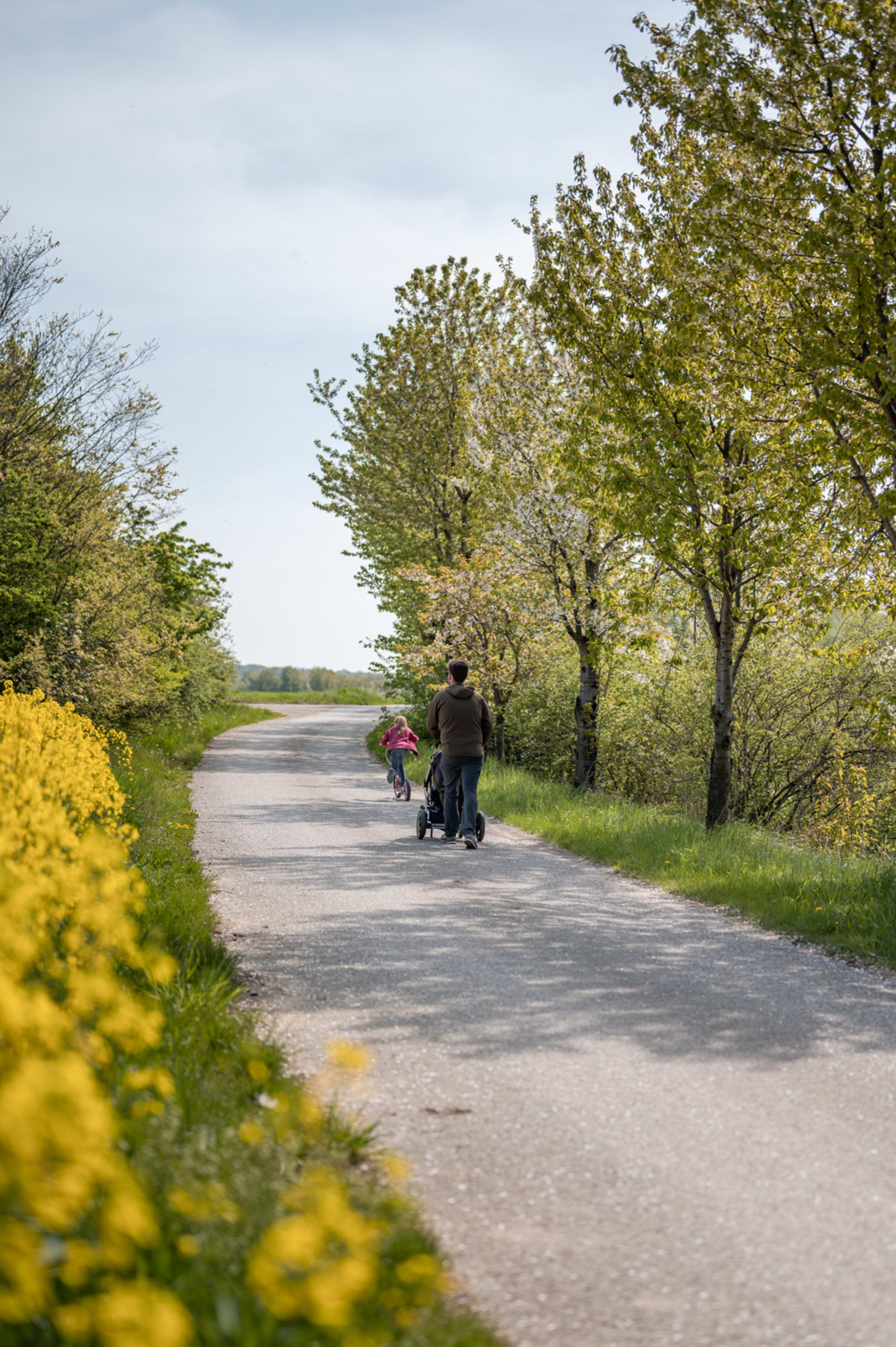 Familie am Eulenrundweg im Naturschutzgebiet Teichwiesen, Rohrbach bei Mattersburg im April