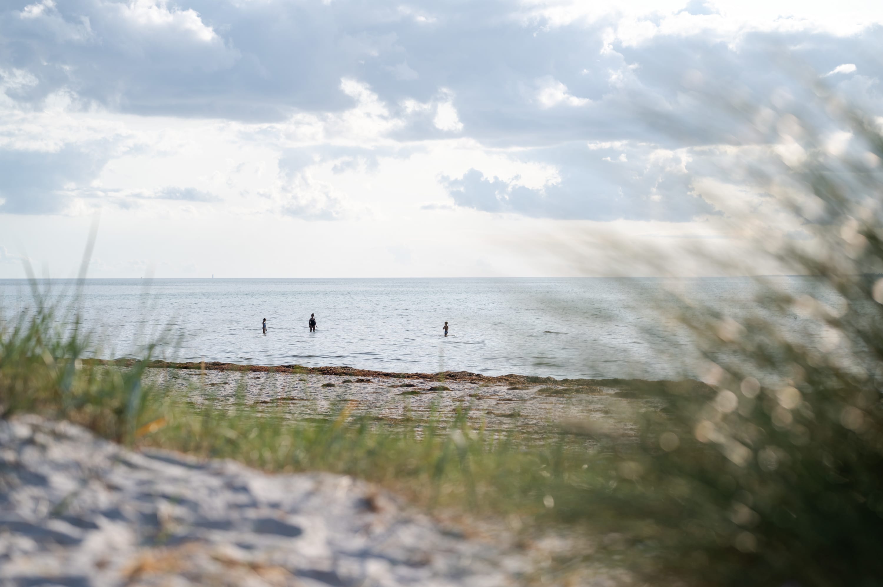 Strand bei Skanör, Skane