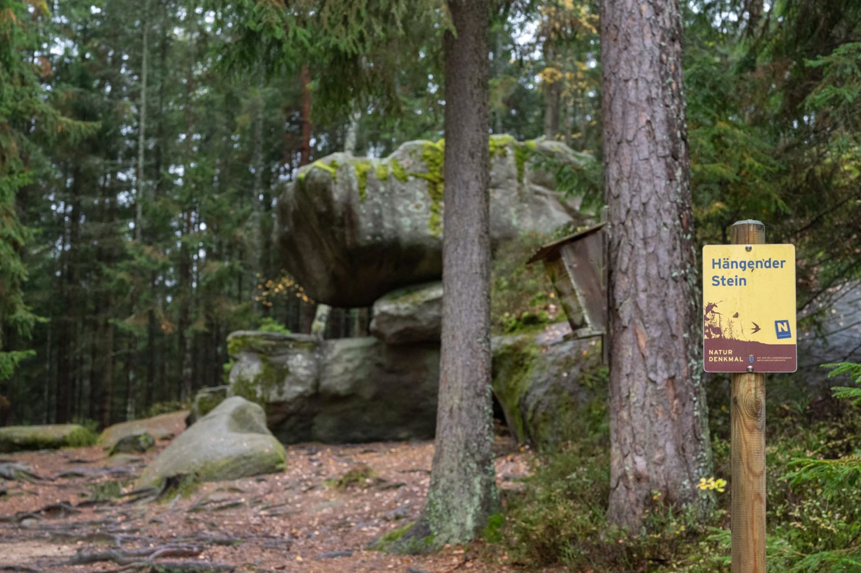 Hängender Stein Hängender Stein im Heidenreichsteiner Moor