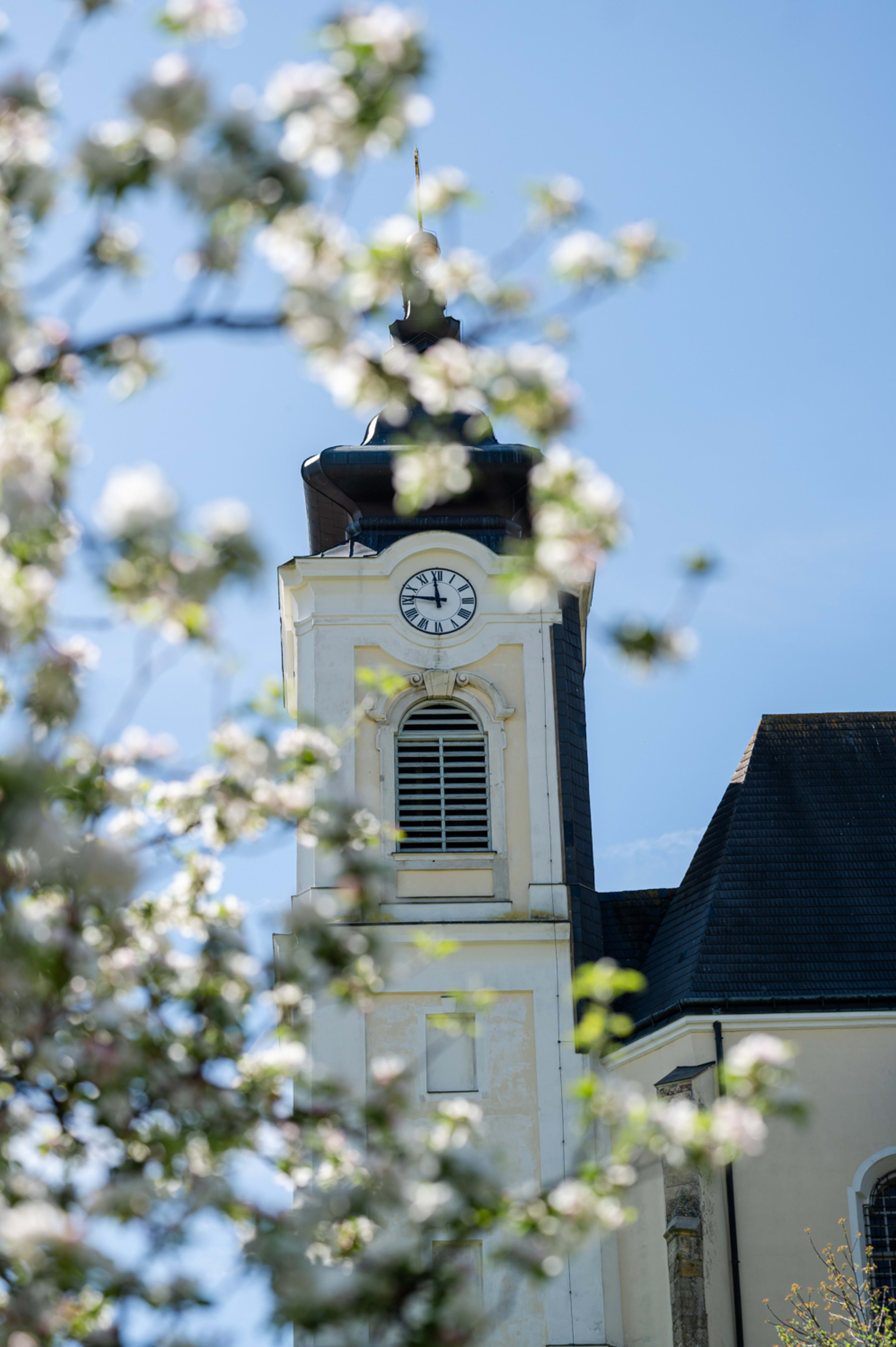 Kirche Höflein im Frühling