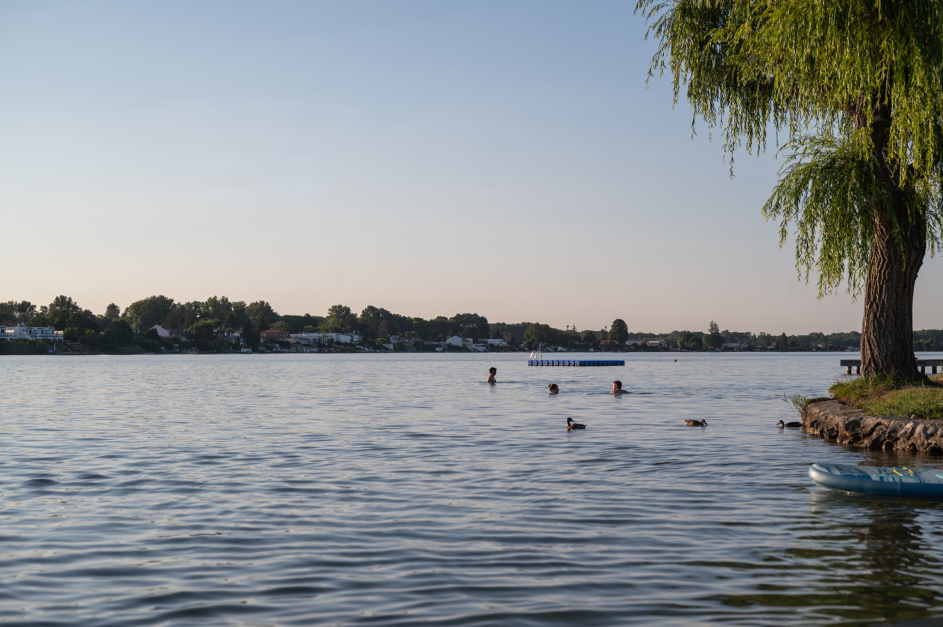abends am Neufelder See