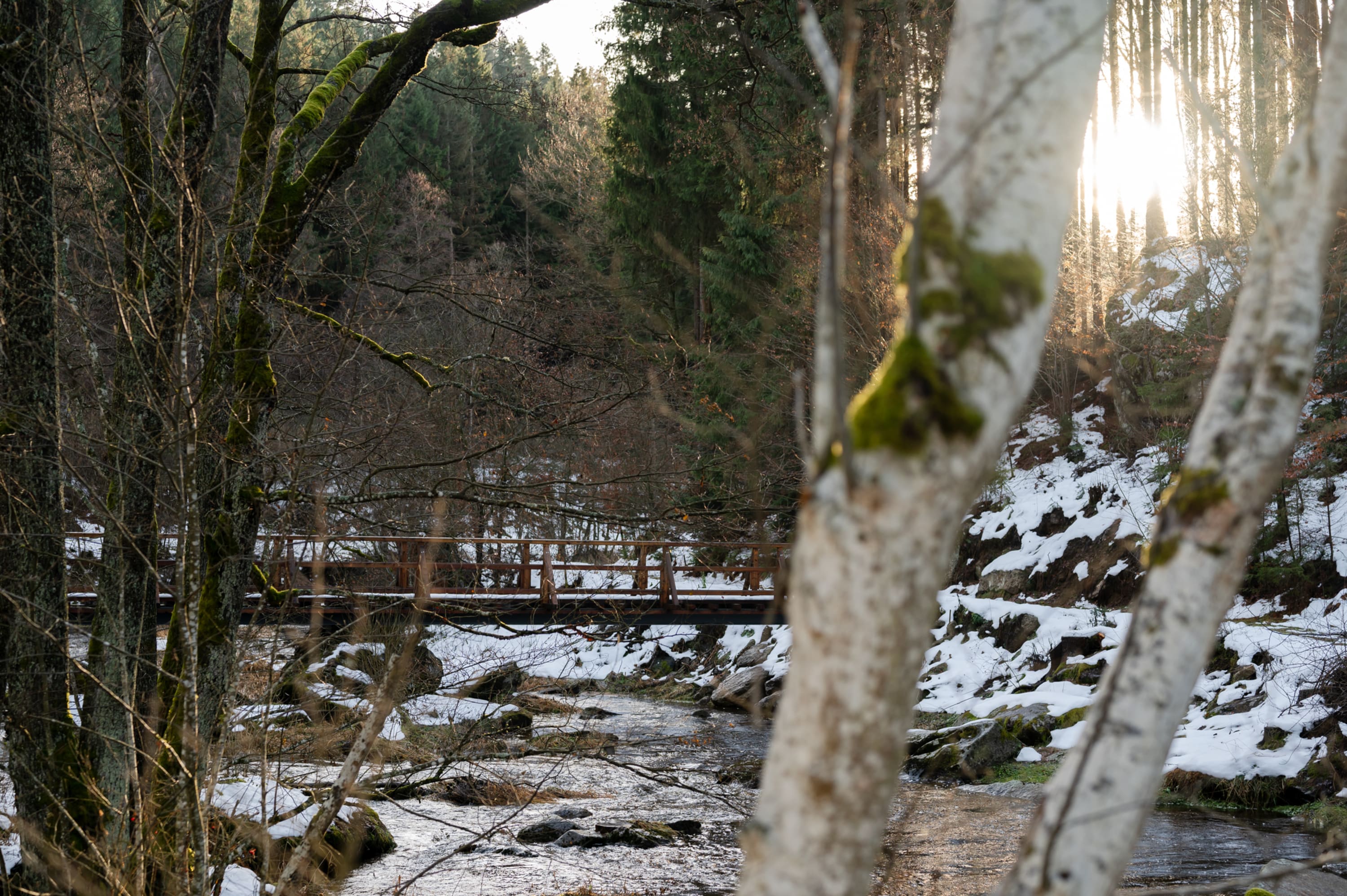 Wasserwunderweg bei Zwettl im Winter