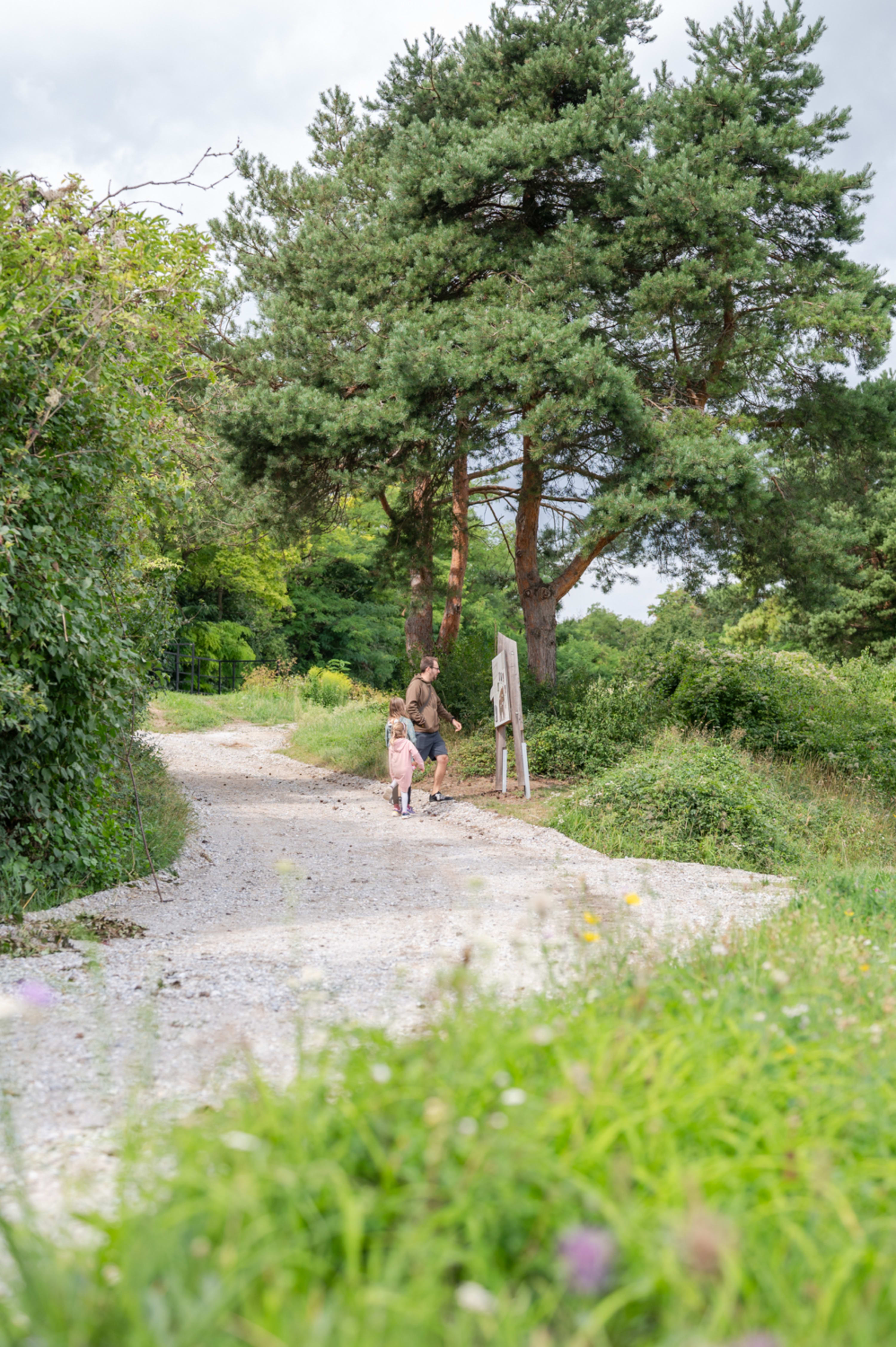 Eiszeitweg Stratzing, Kremstal