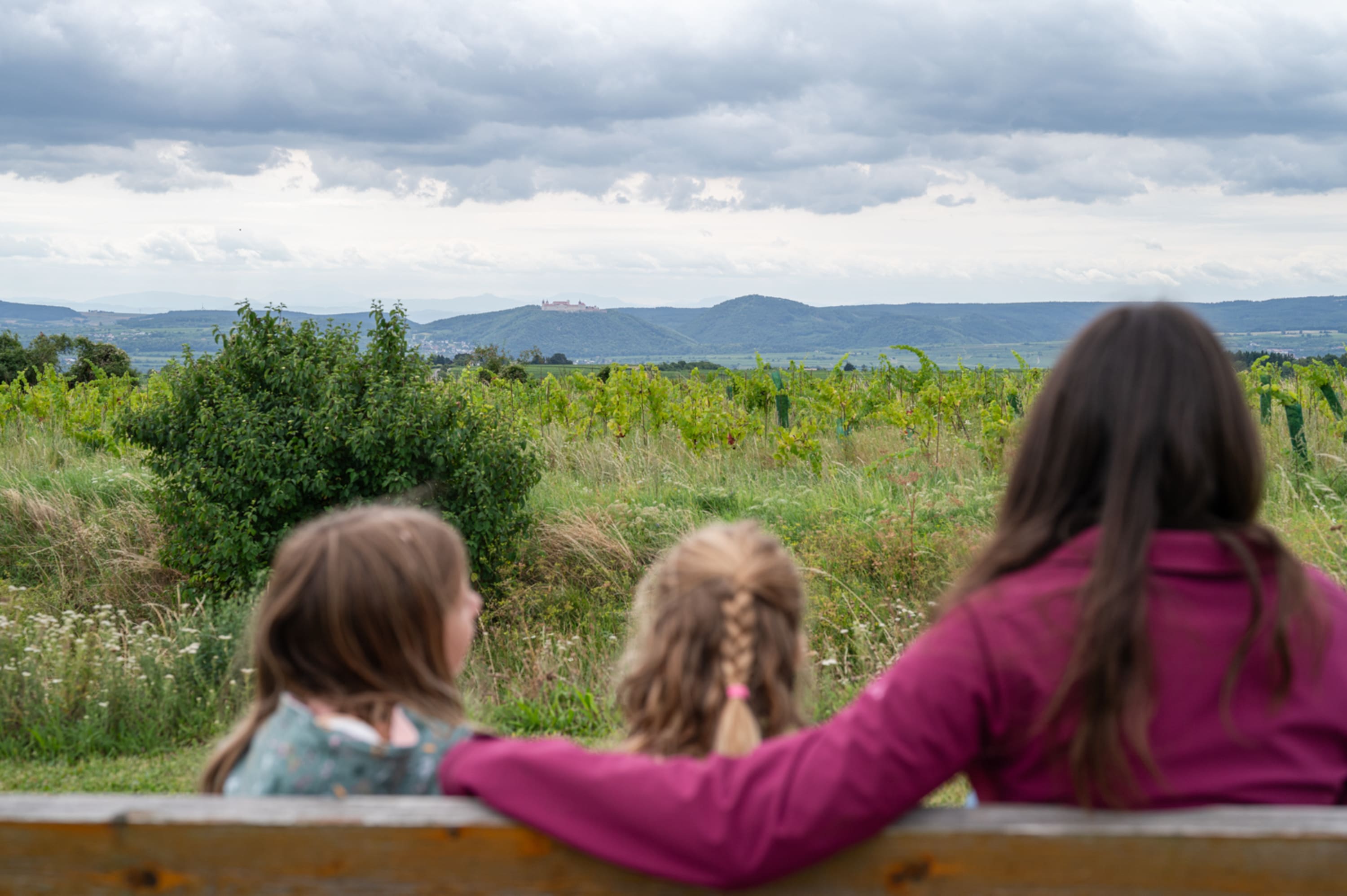 Blick auf Stift Göttweg am Eiszeitweg Stratzing, Kremstal