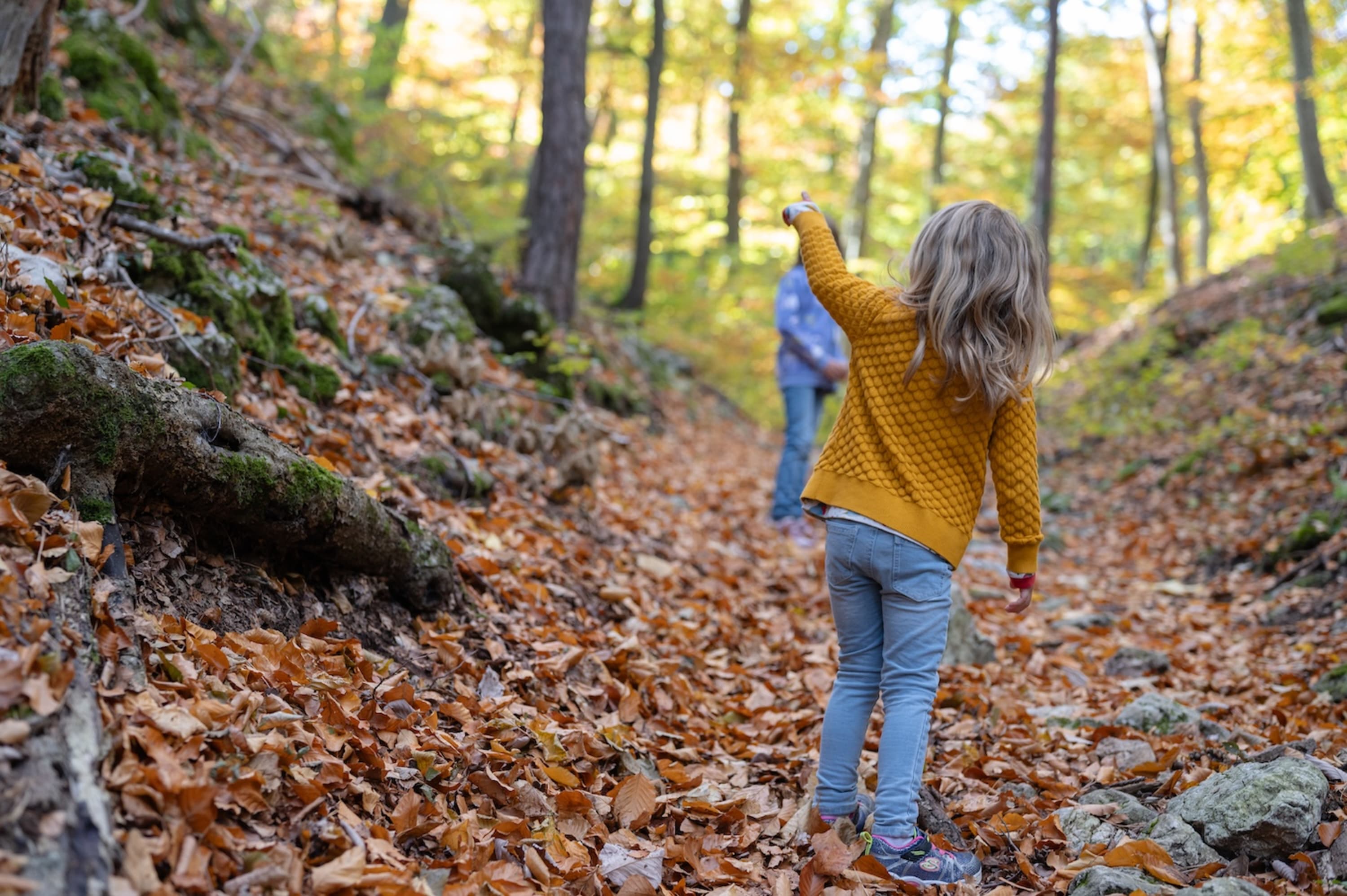 Wandern mit Kindern am Größenberg, Fischauer Vorberge, die Wolfsschlucht