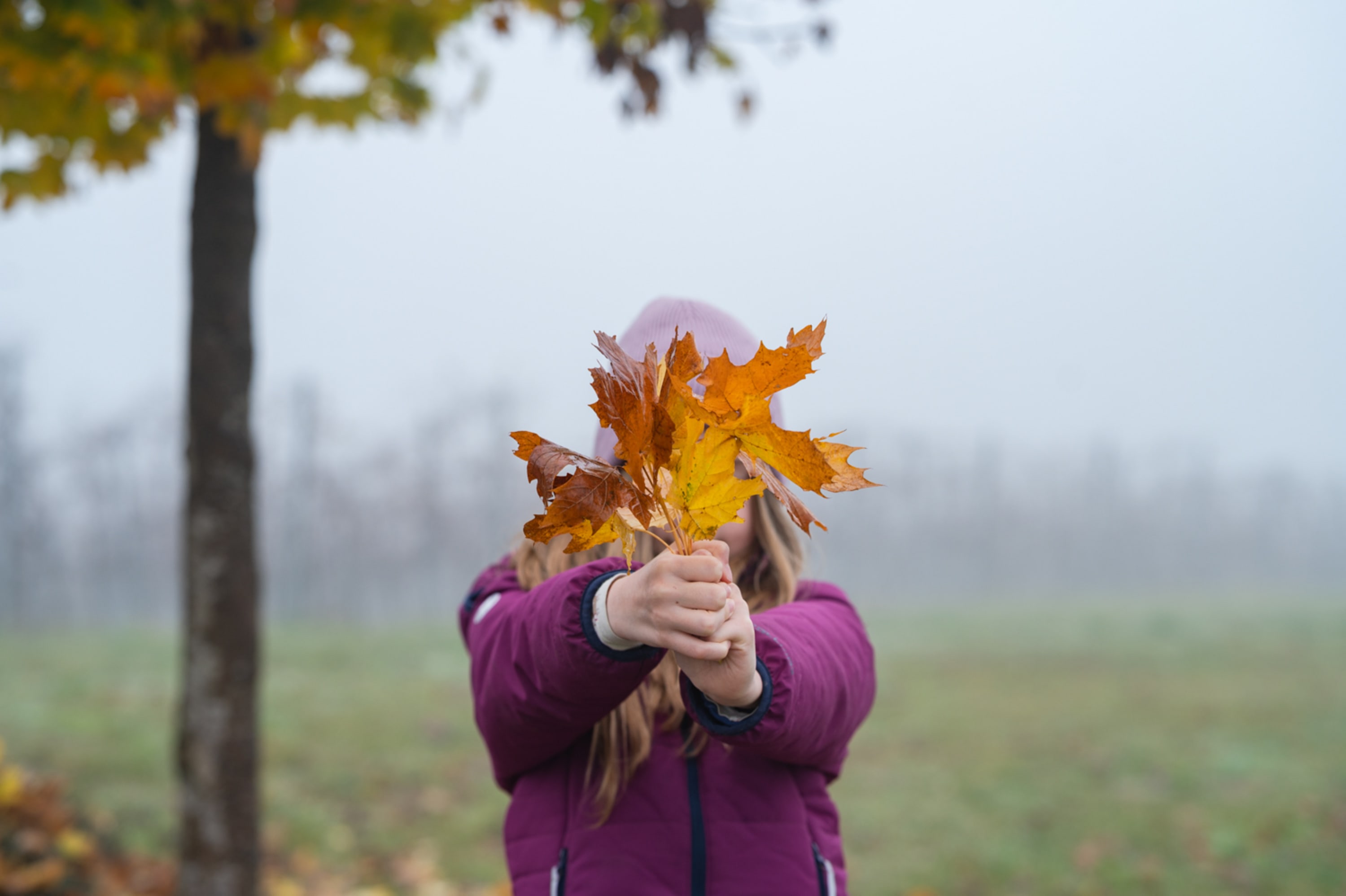 Kind mit Herbstblättern bei der Aussichtswarte am Burgauberg