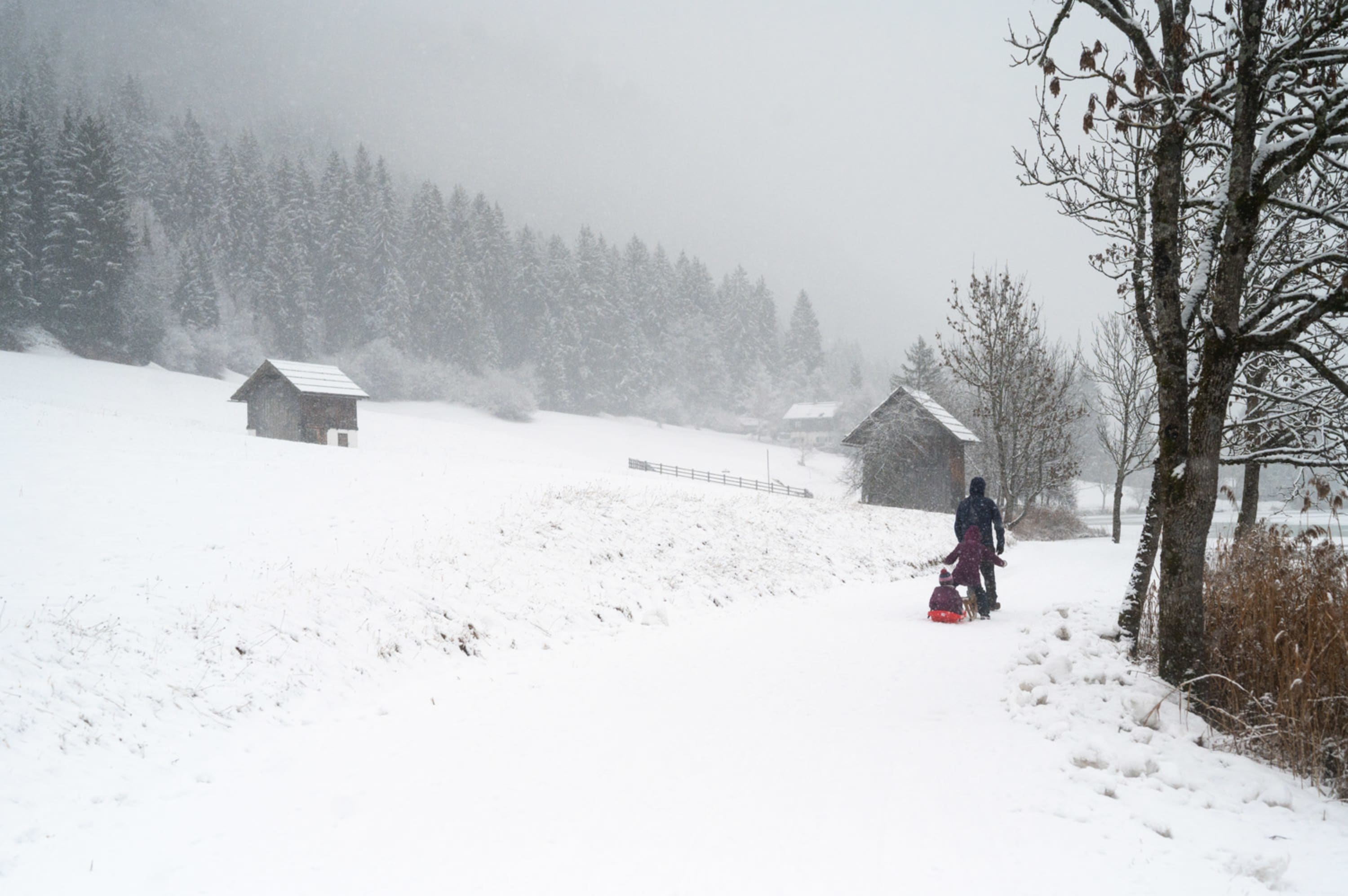 Winterwanderung am Ufer des Weißensees, Kärnten, Familie mit Bob
