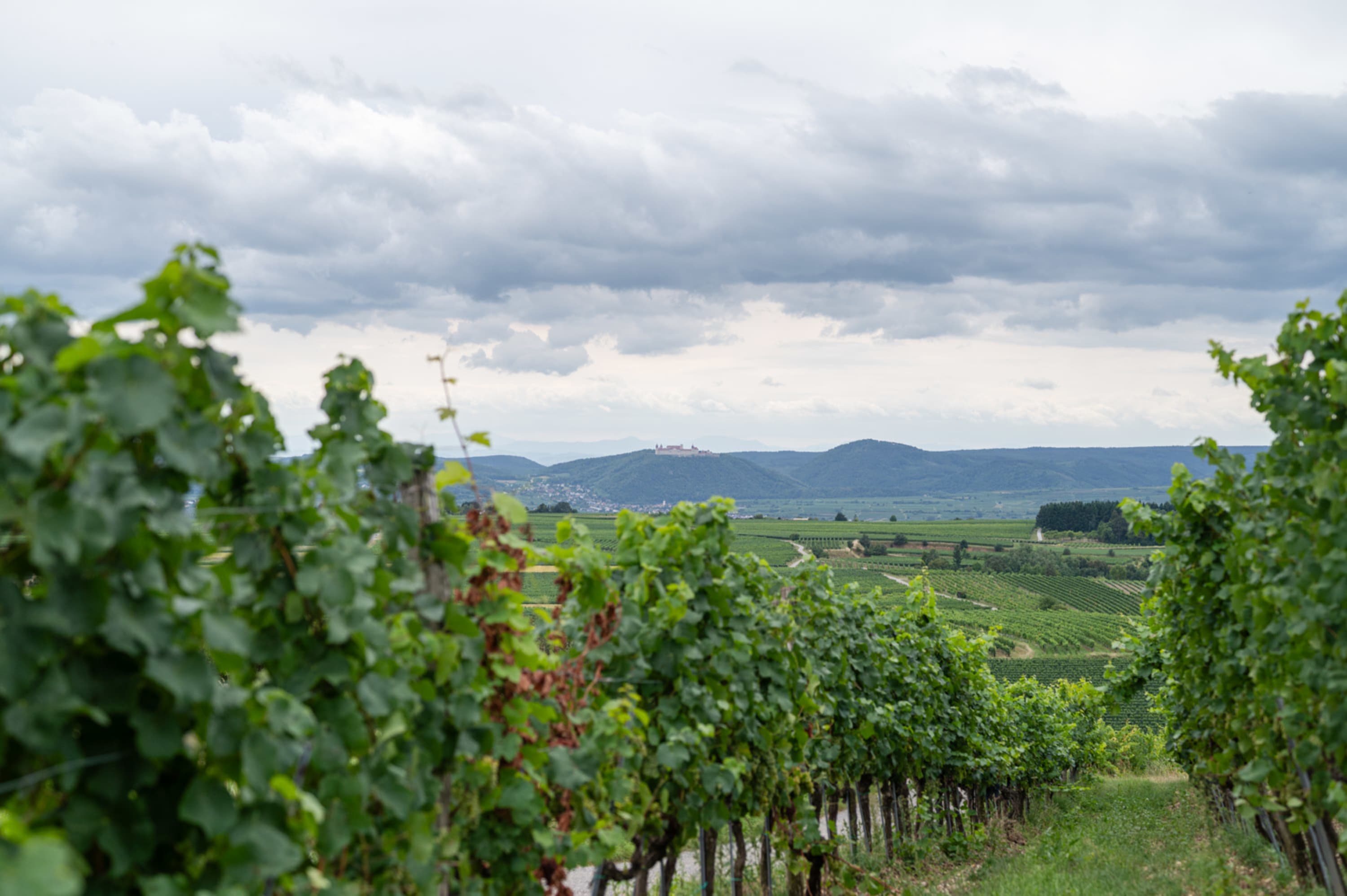 Kremstal, Blick auf Stift Göttweig vom Eiszeitweg in Stratzing