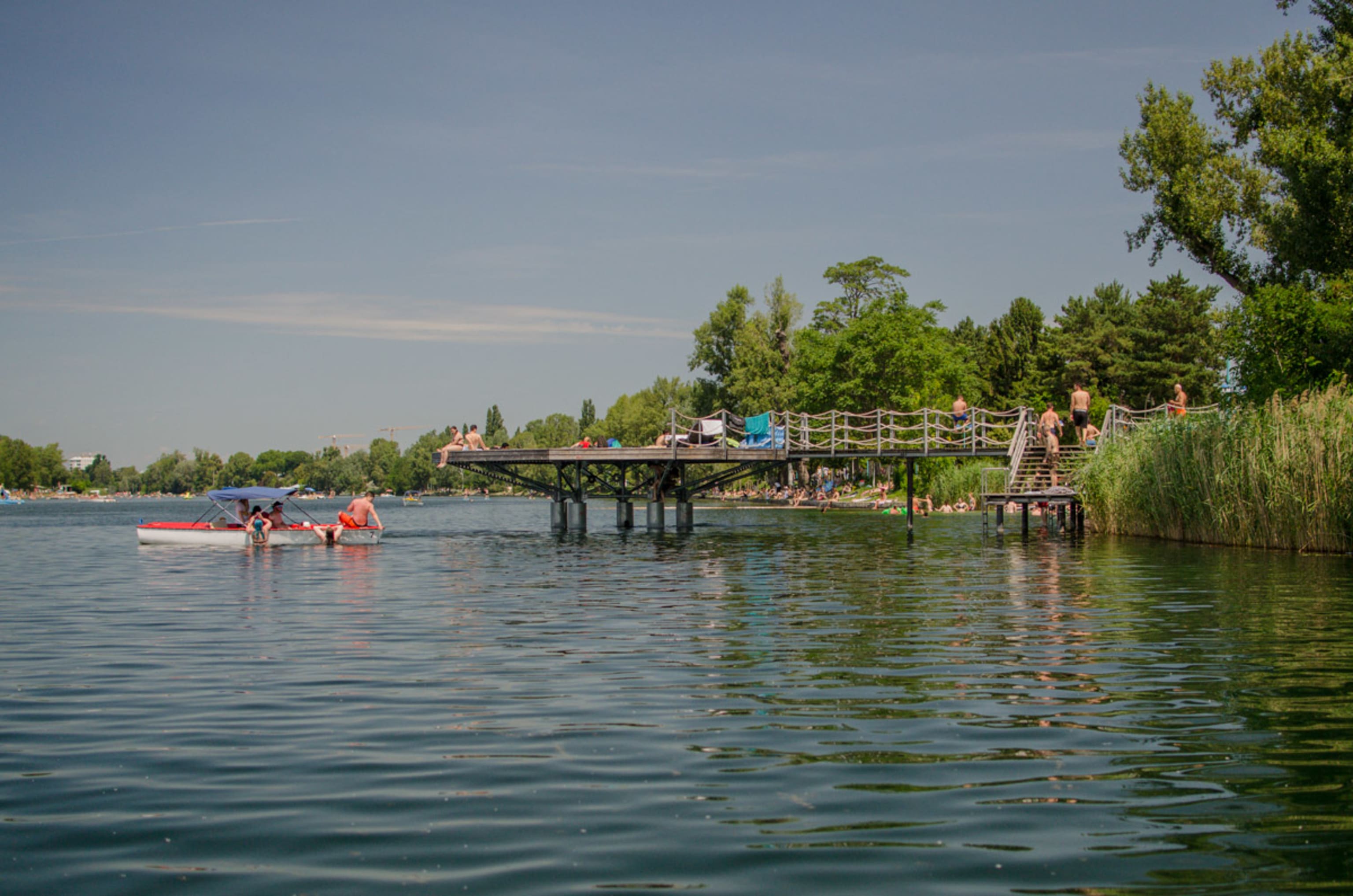 Alte Donau Stege und Badende