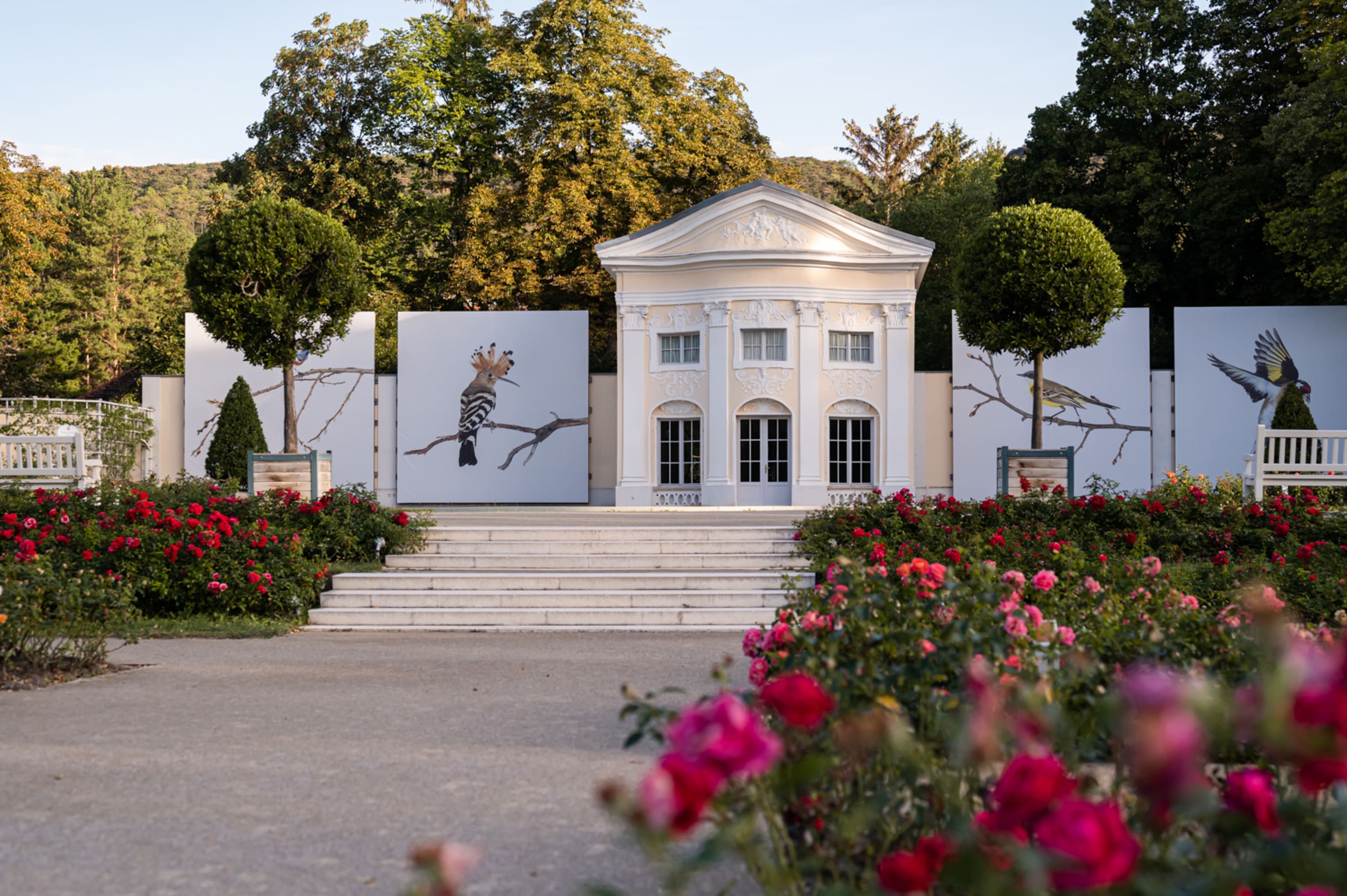 Rosarium in Baden bei Wien