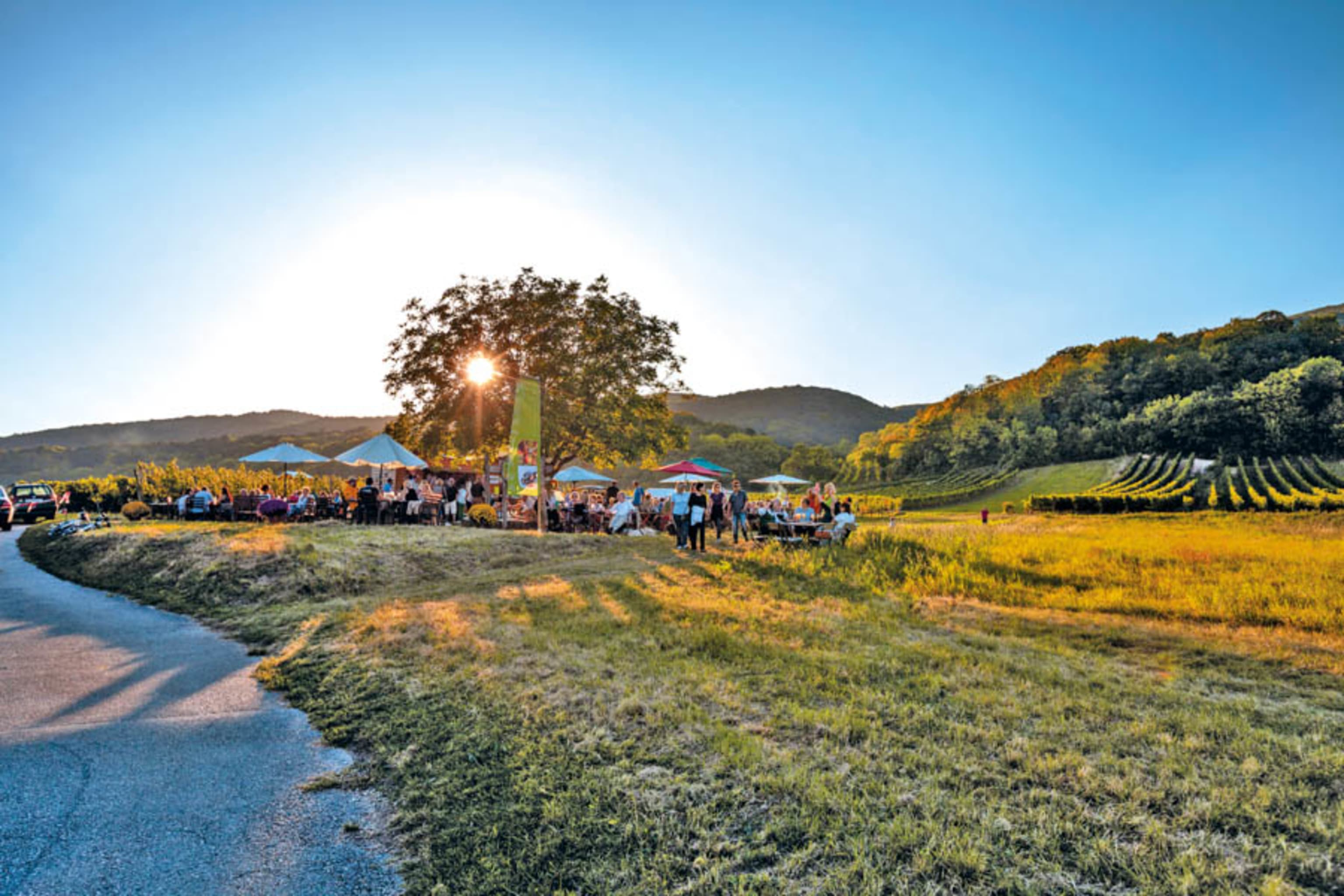 Genussmeile im Wienerwald, Weinherbst ©Thermenregion Wienerwald