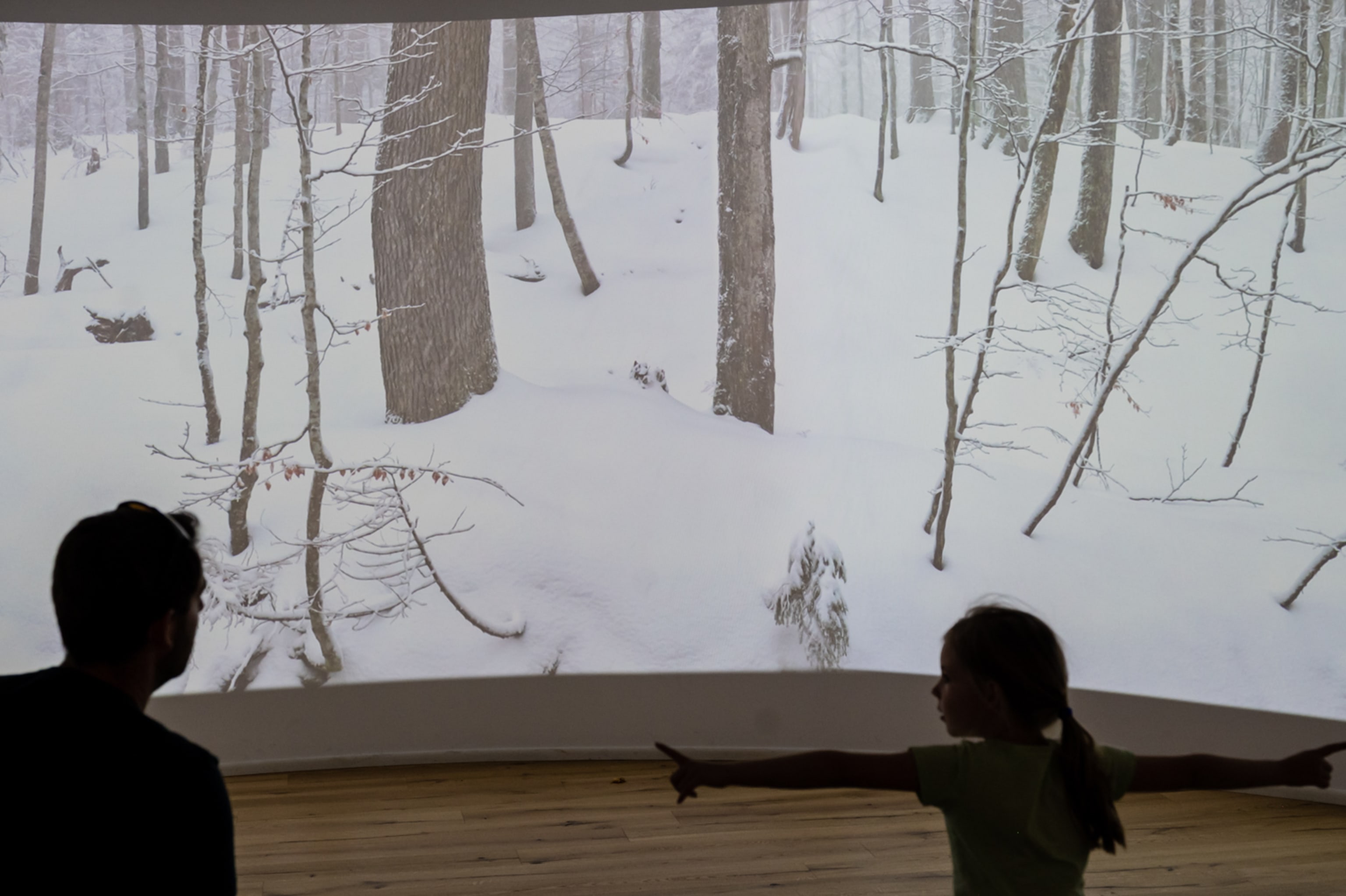Kino im Haus der Wildnis, Schlechtwettertipp für Familien