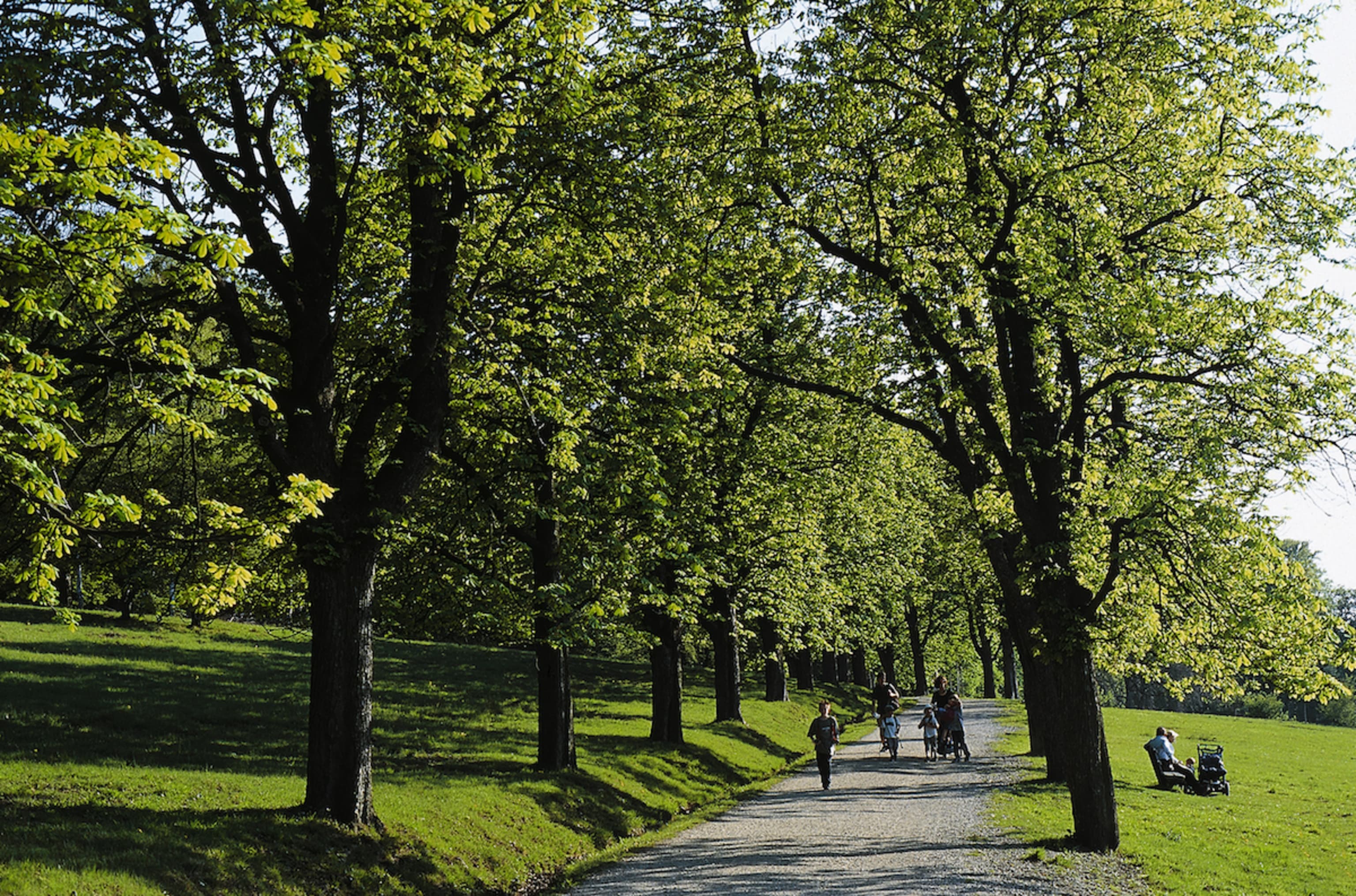 Lainzer Tiergarten, Wien