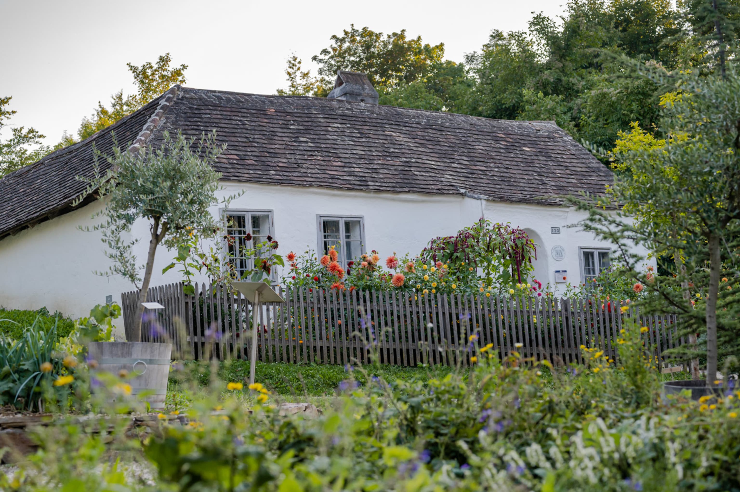 Museumsdorf Niedersulz, Haus mit Garten
