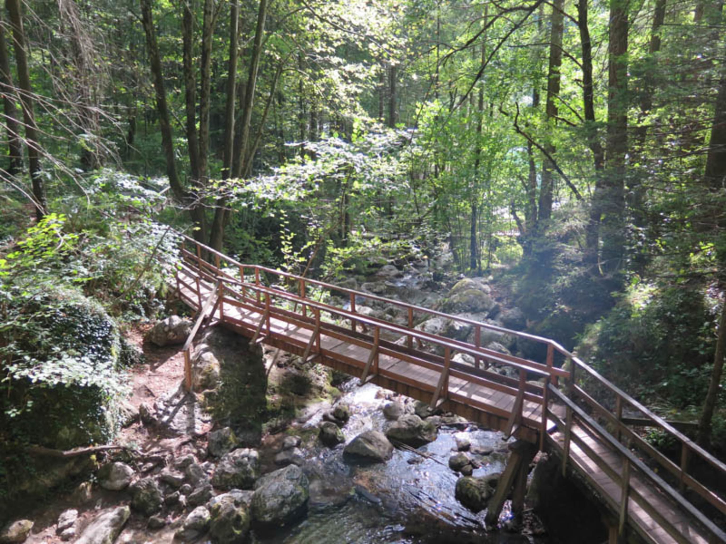 Brücke beim Wanderweg Myrafälle