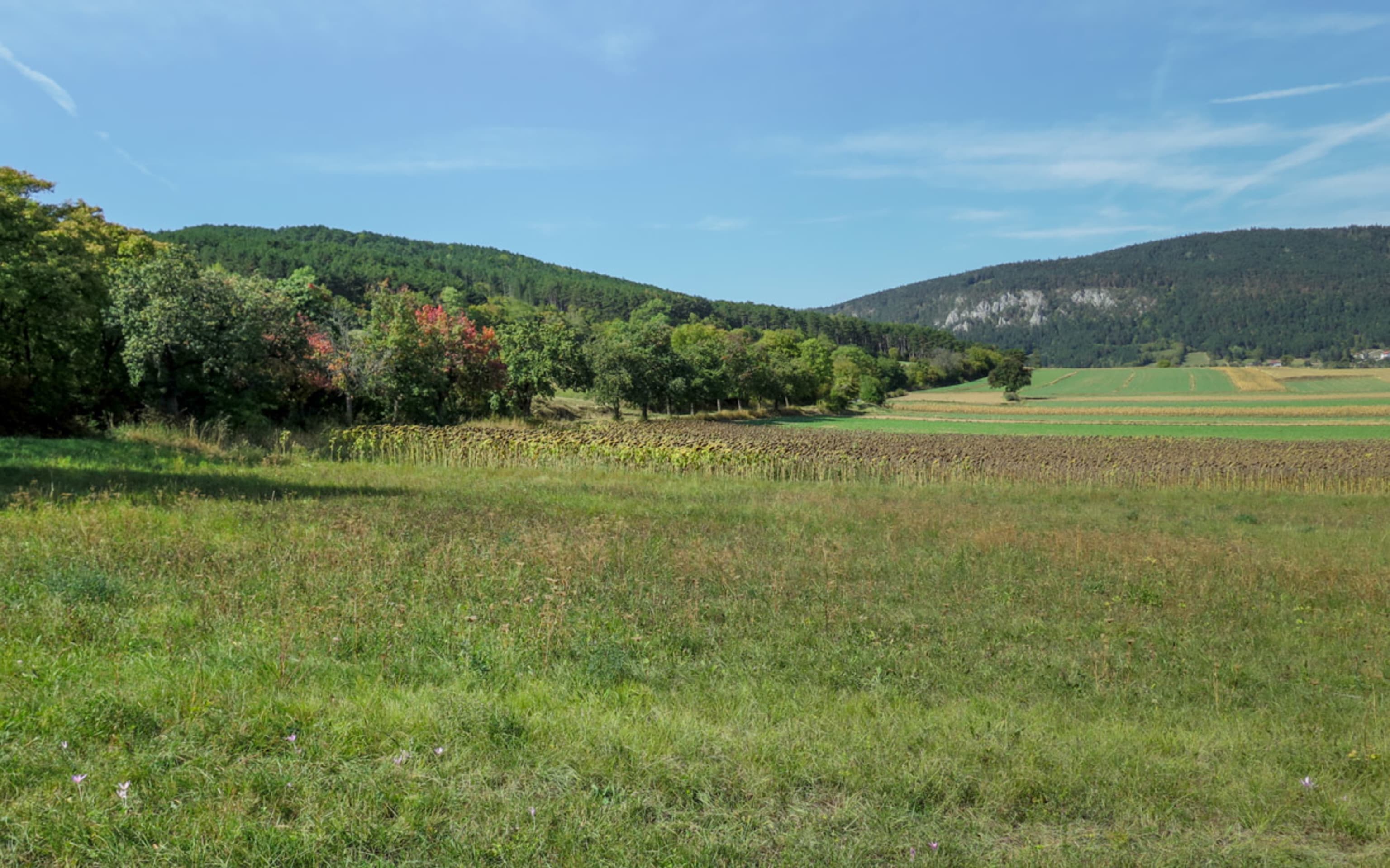 Blick von Mahrersdorf in Richtung Flatz auf der Schlosser Reiterer Runde bei Ternitz