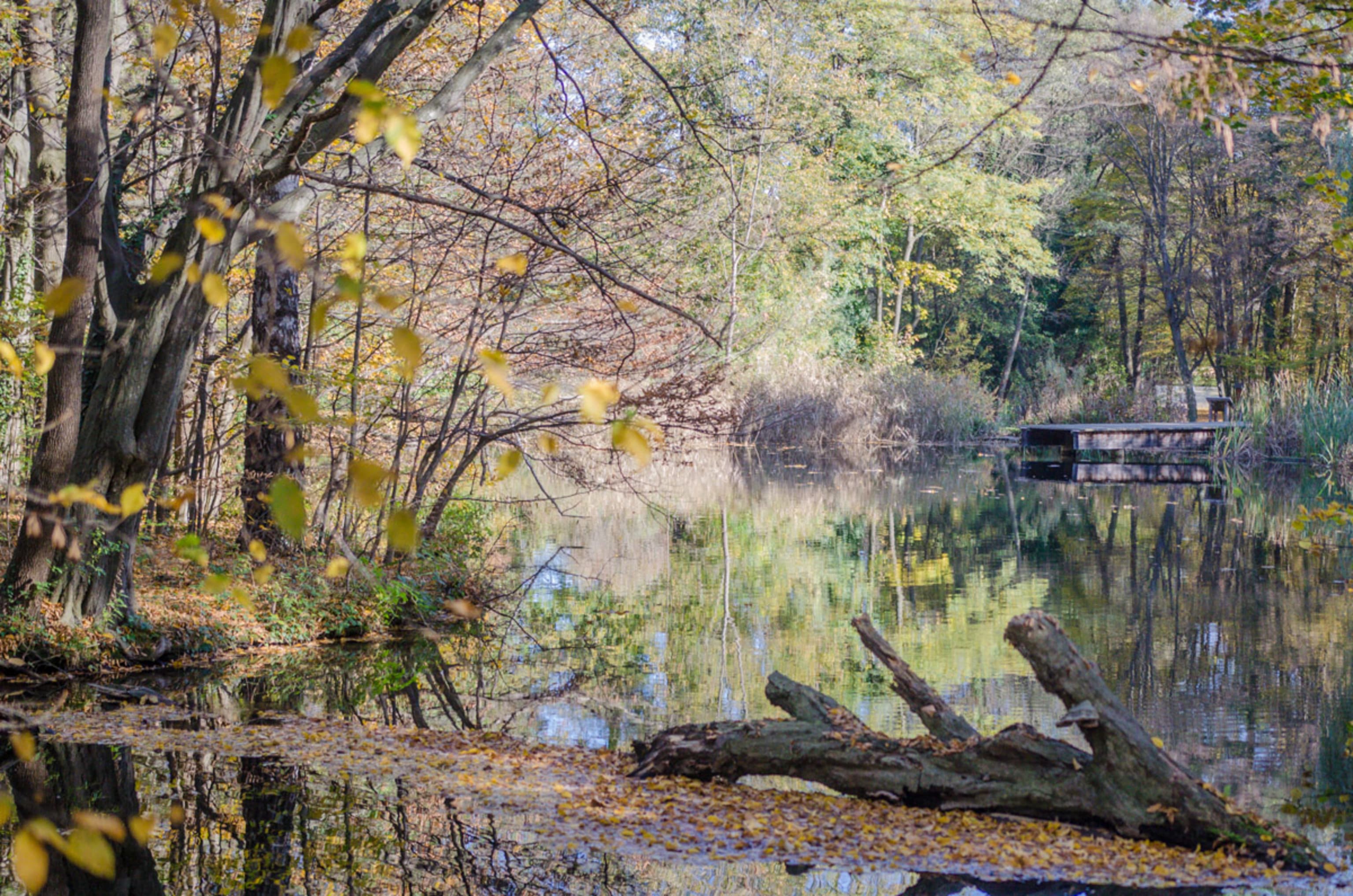 Schlossteich im Schlosspark Seebenstein im Herbst