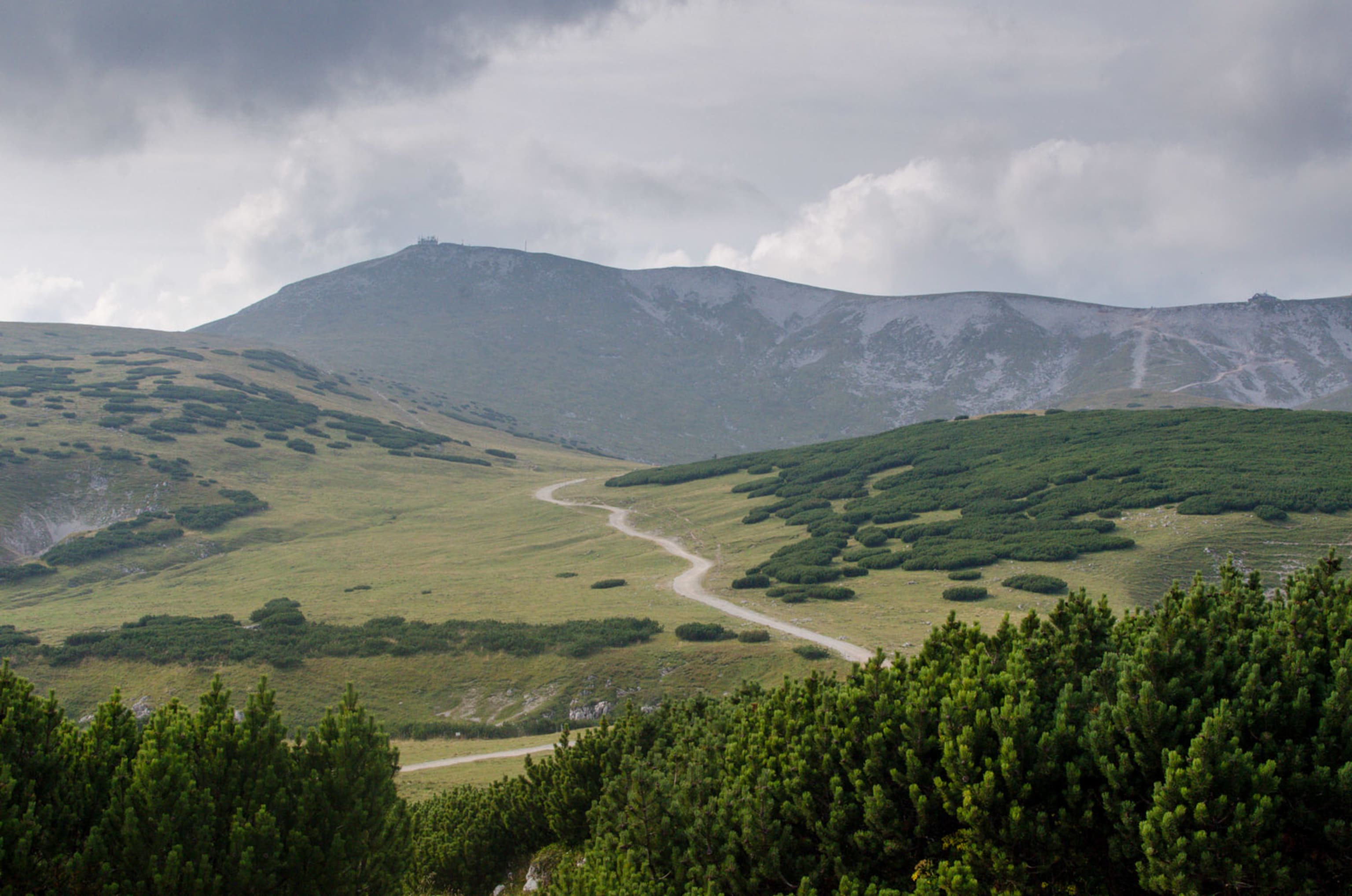 Blick auf den Gipfel des Schneebergs
