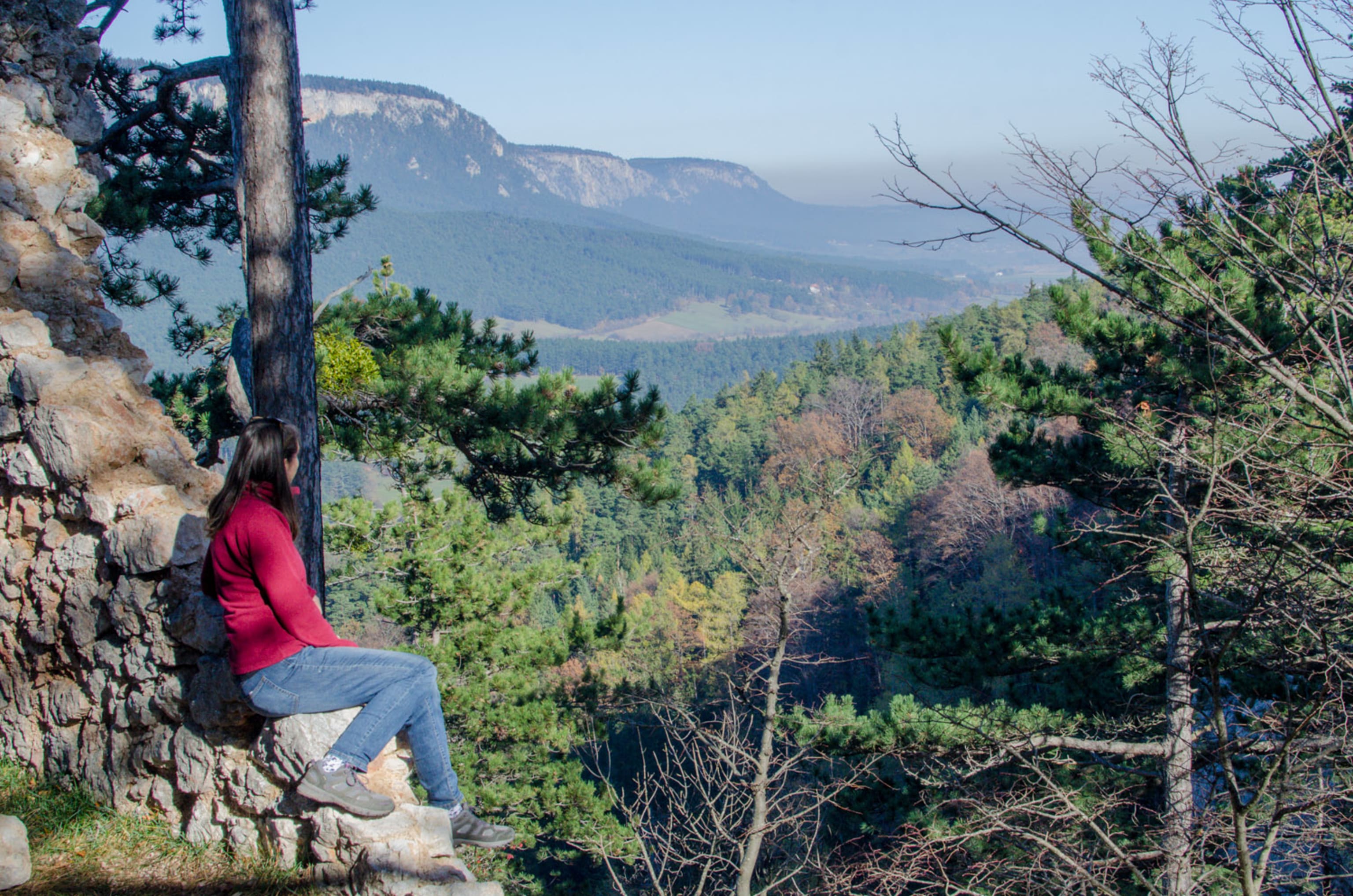 Blick von der Ruine Schrattenstein am Ruinenweg Schrattenbach