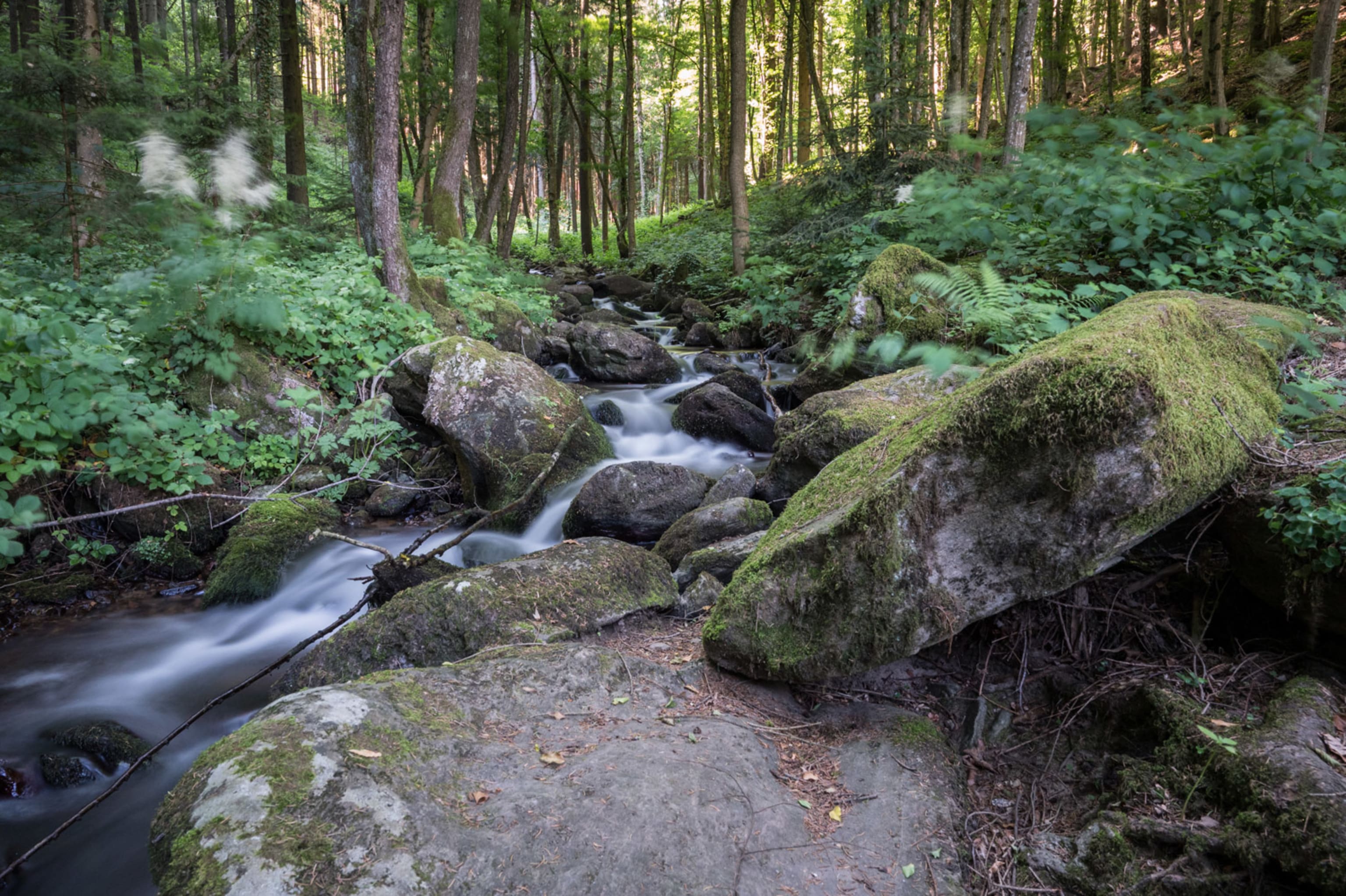 Steinbachklamm
