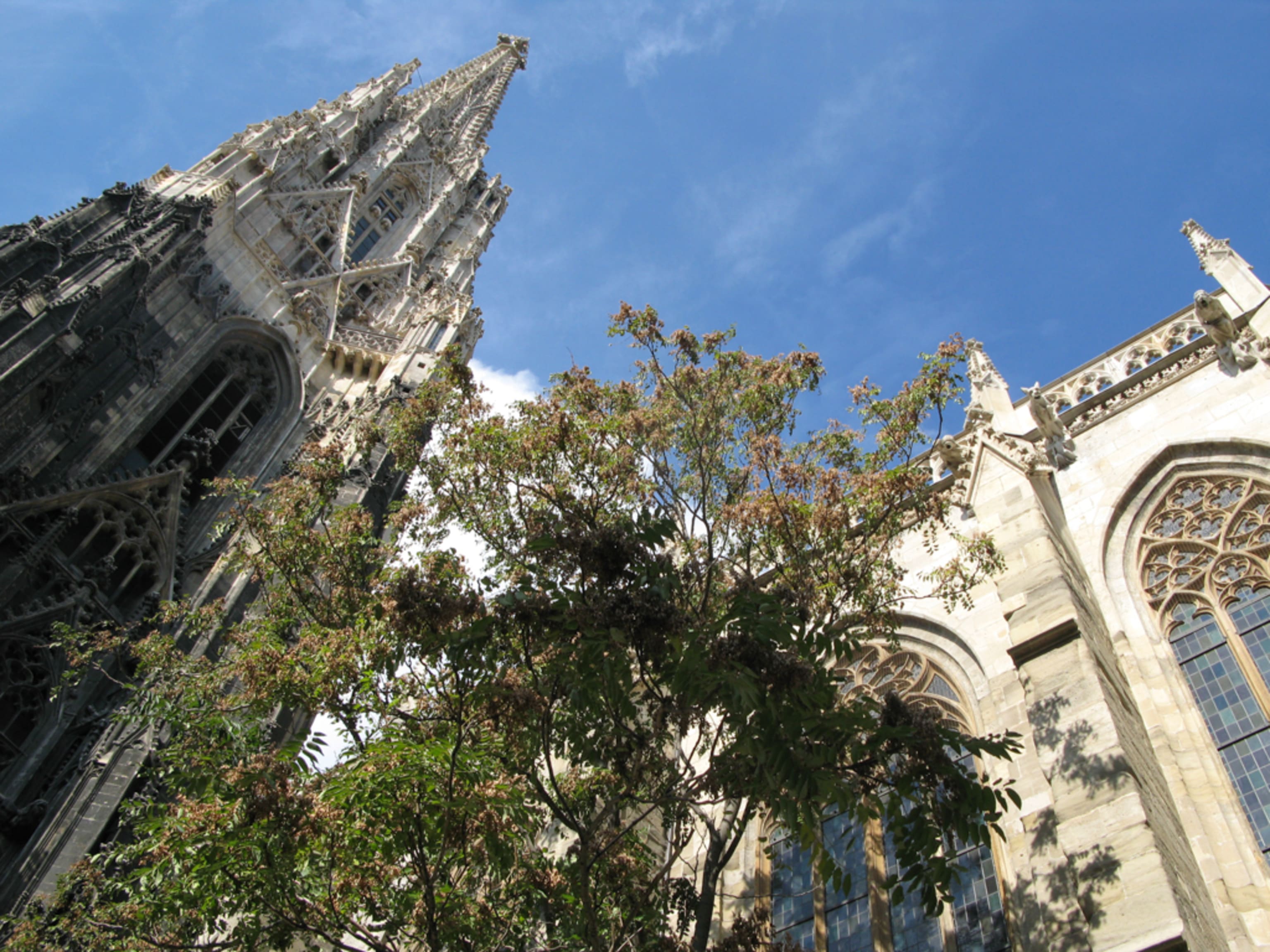 Stephansdom Wien Südseite
