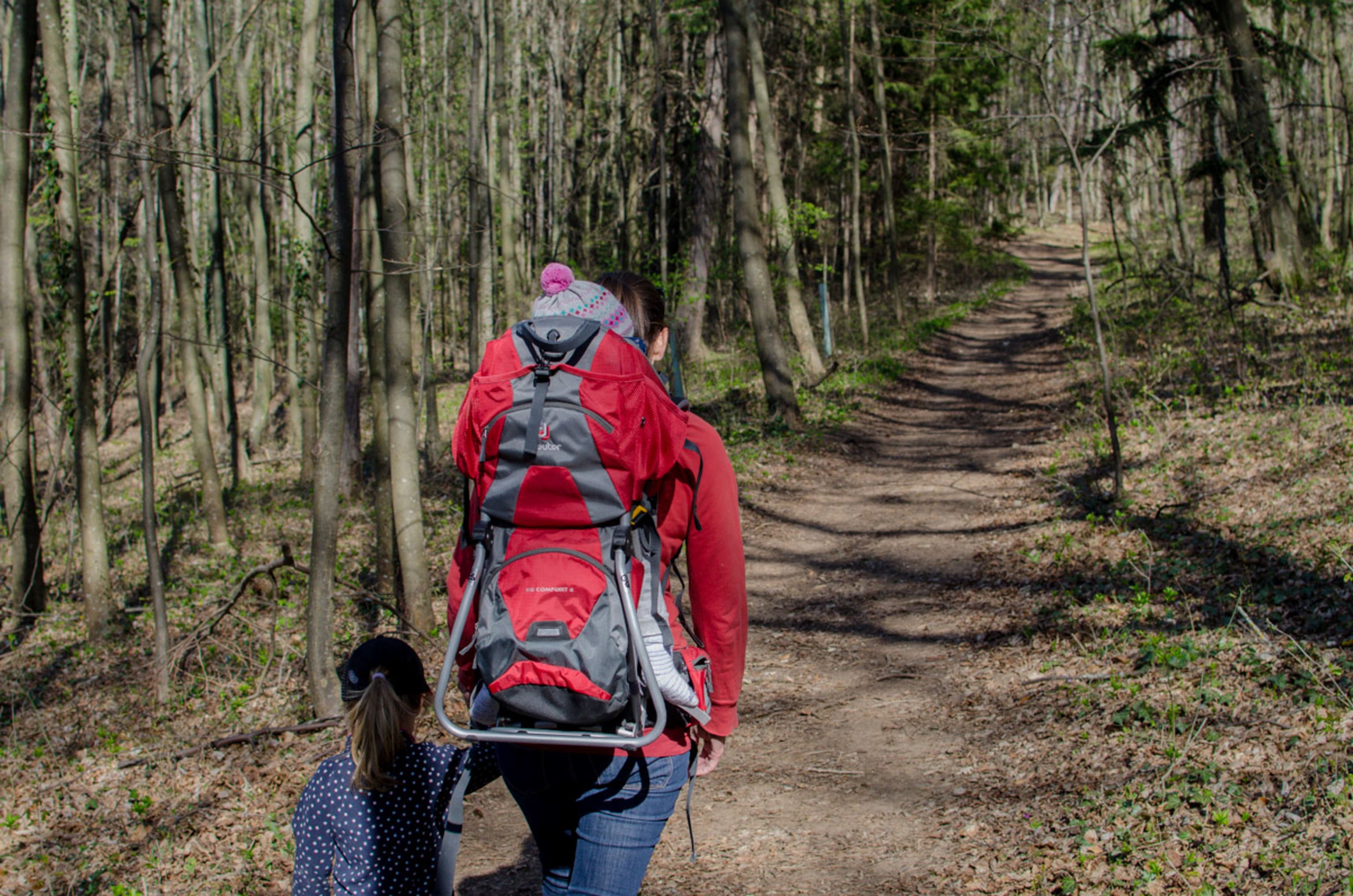 Wanderer am Dachenstein bei Willendorf