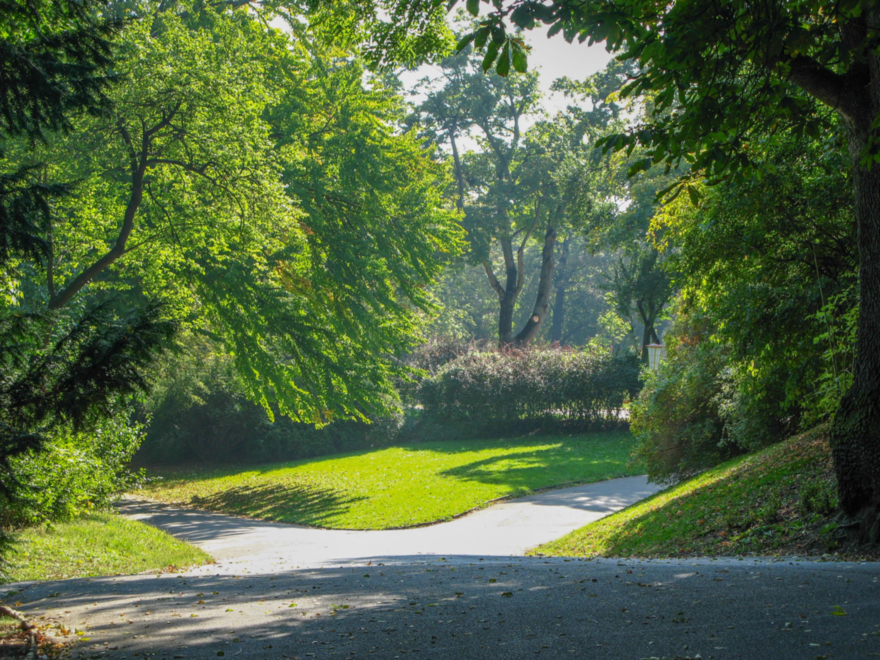 Türkenschanzpark, Wege durch den Park in Wien