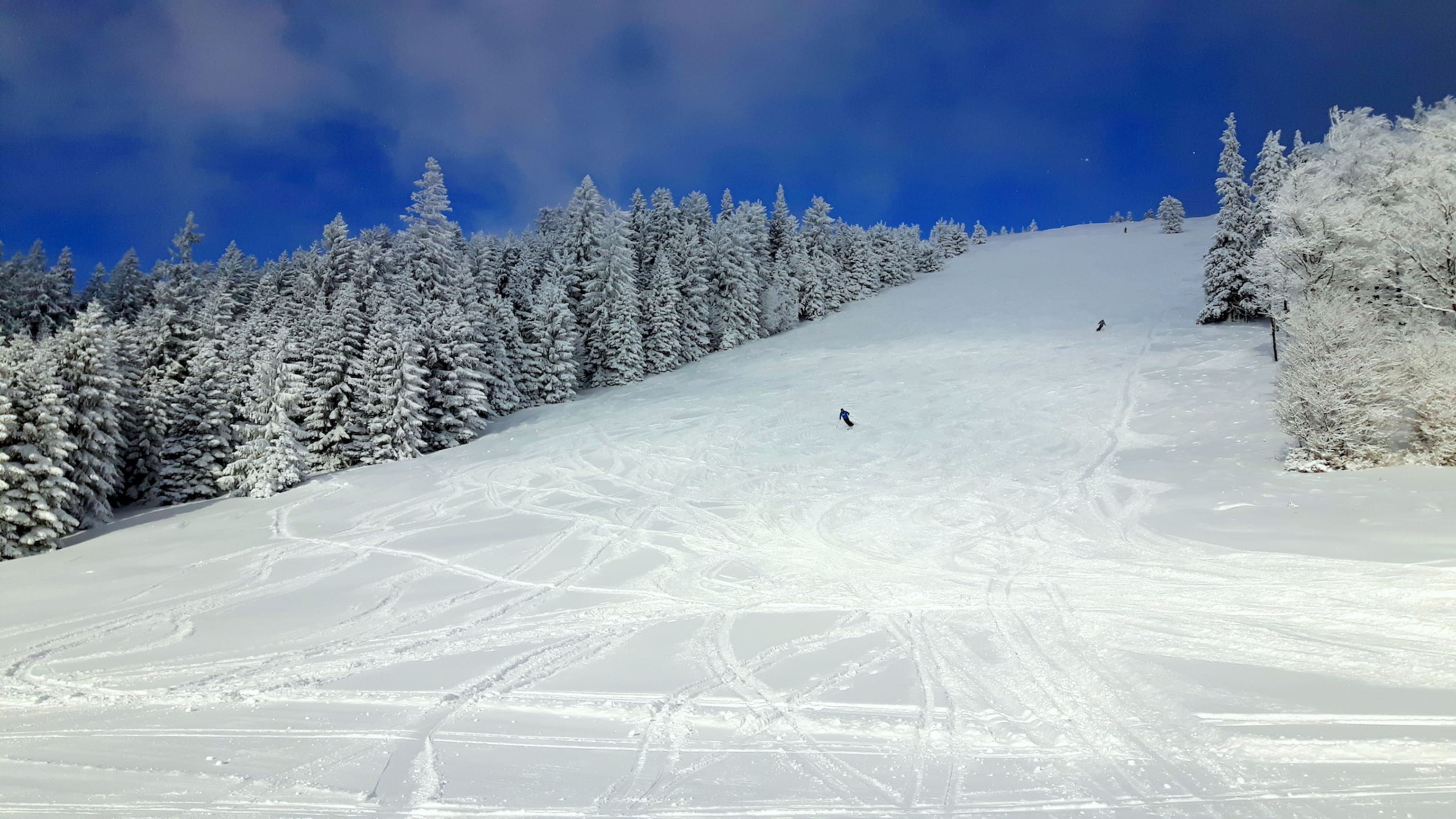 wintersport im Naturschneeparadies Unterberg