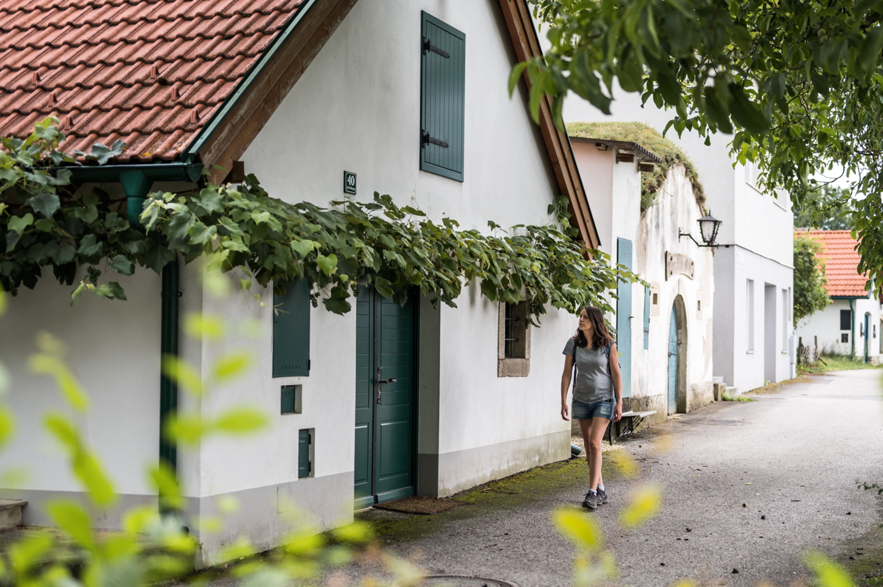 Wandern auf der VIA.VINUM zum Wirt in Göttlesbrunn
