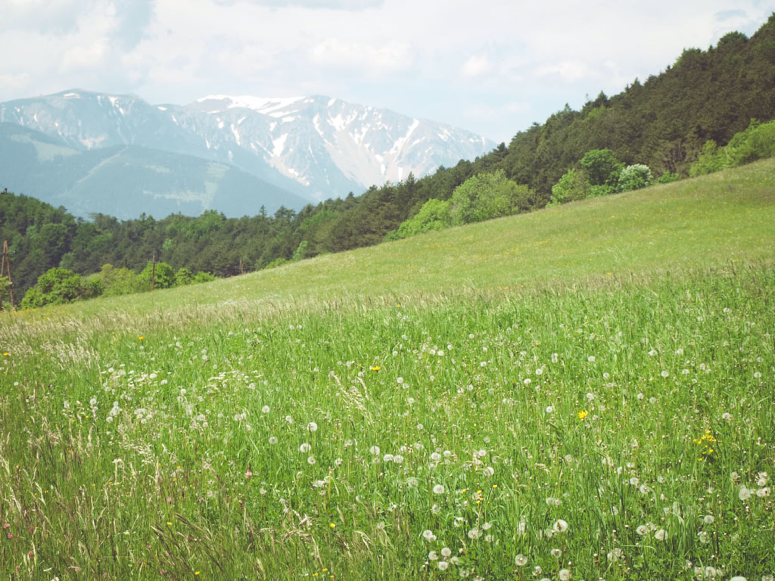 Wanderweg am Gutenmann mit Blick auf den Schneeberg