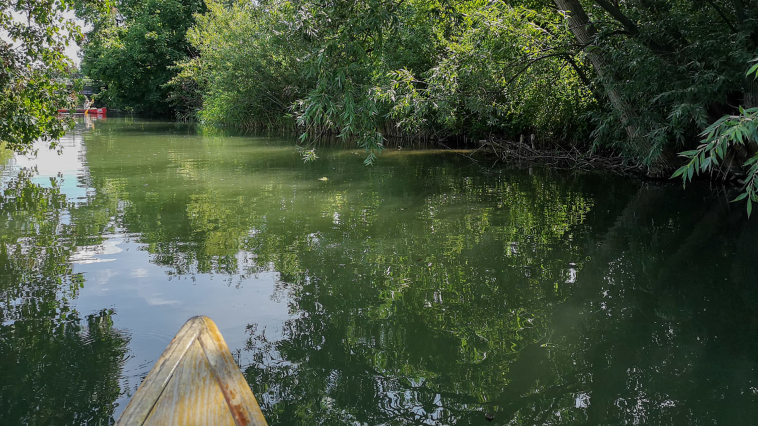 Boot fahren am Wiener Neustädter Kanal