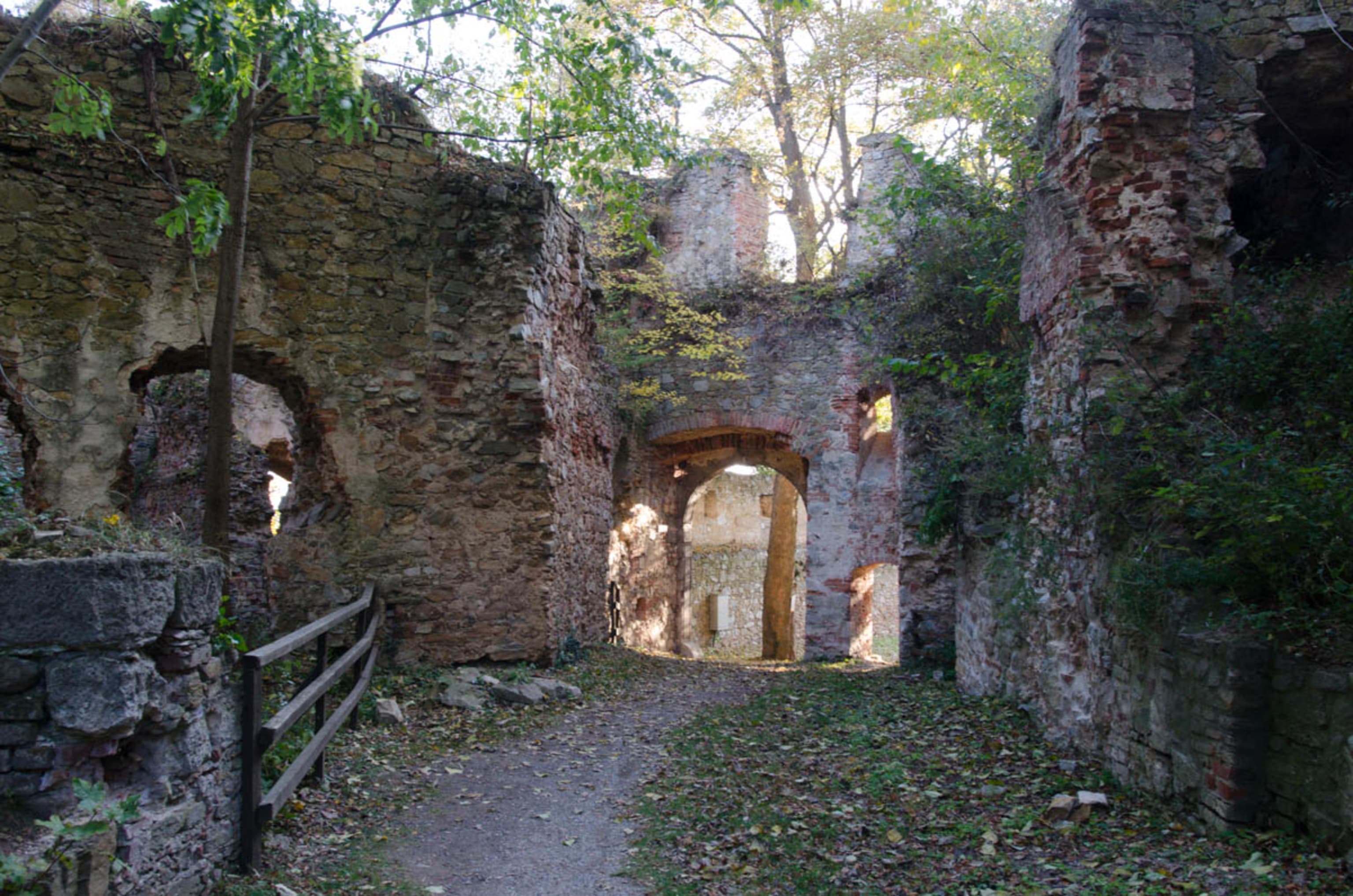 Ruine Landsee innerhalb der Mauern